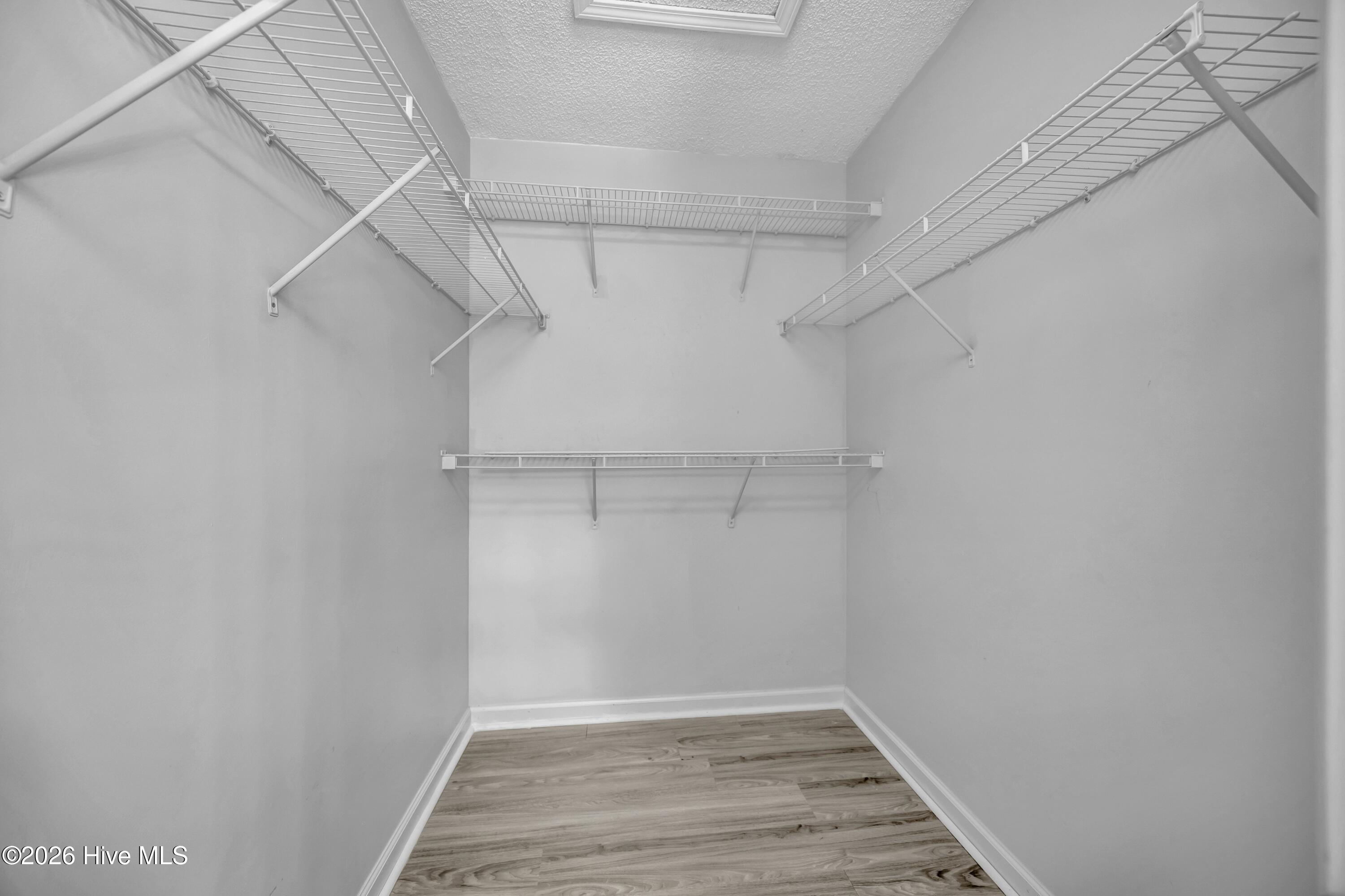 100569436 | Photo 18