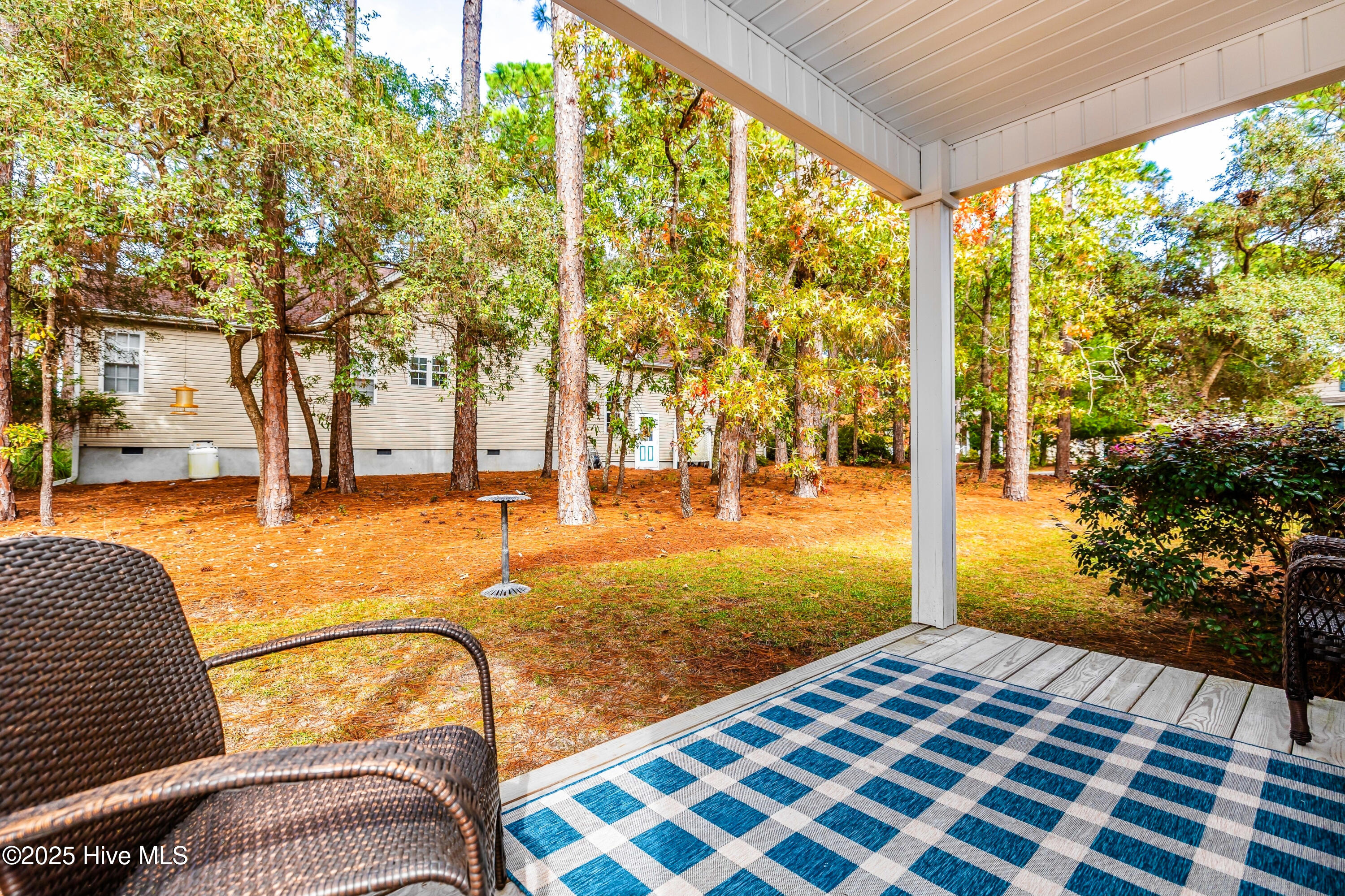 100540432 | Photo 13