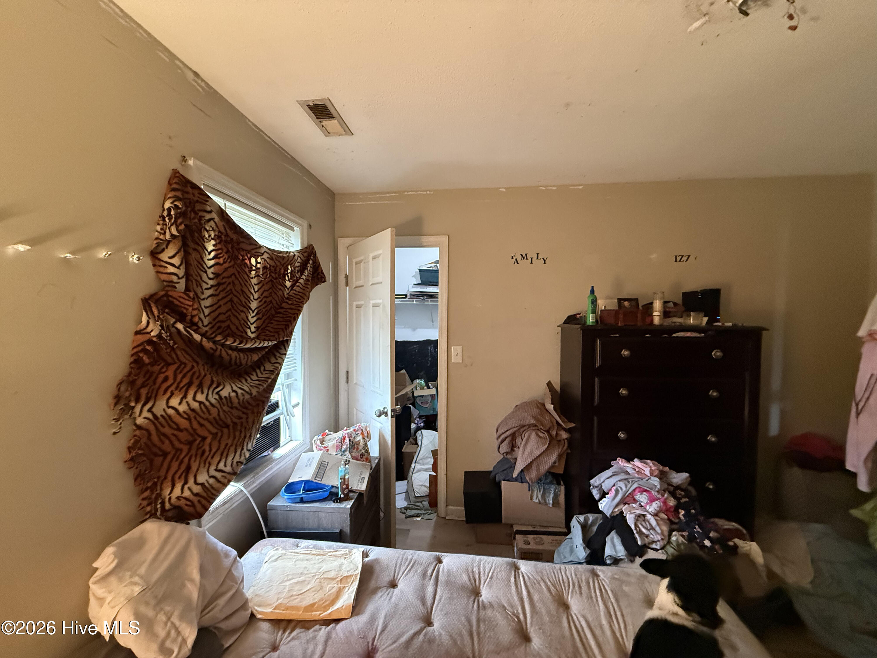 100562239 | Photo 29