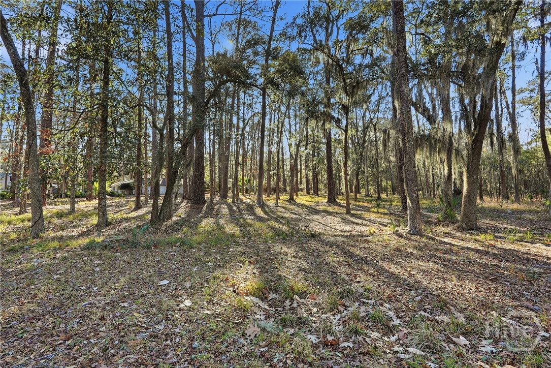 501 Wau Bun Drive, Savannah, GA, 31419