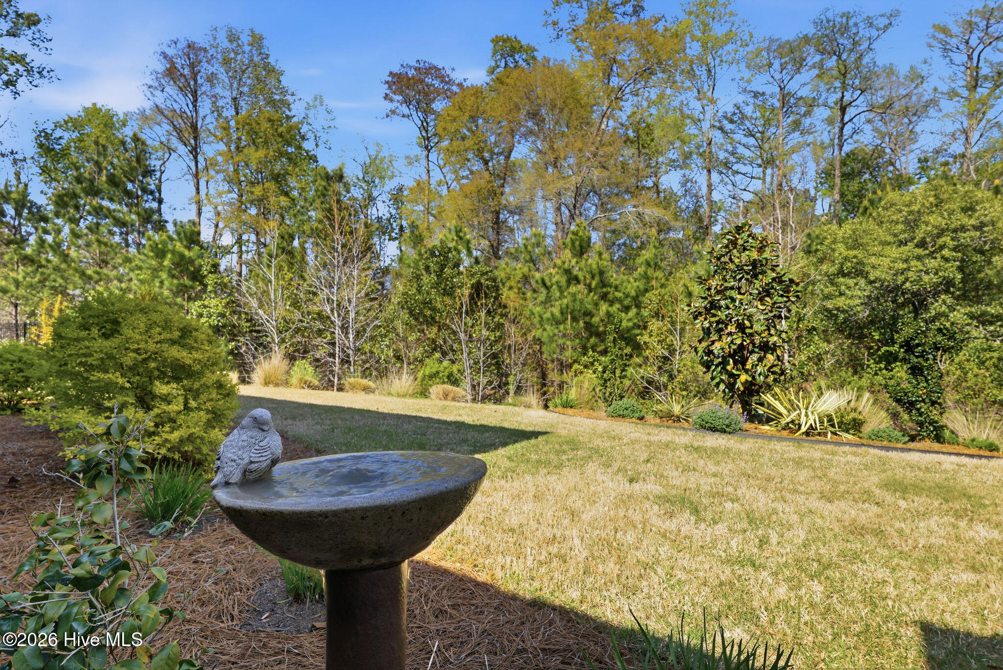 100564757 | Photo 25