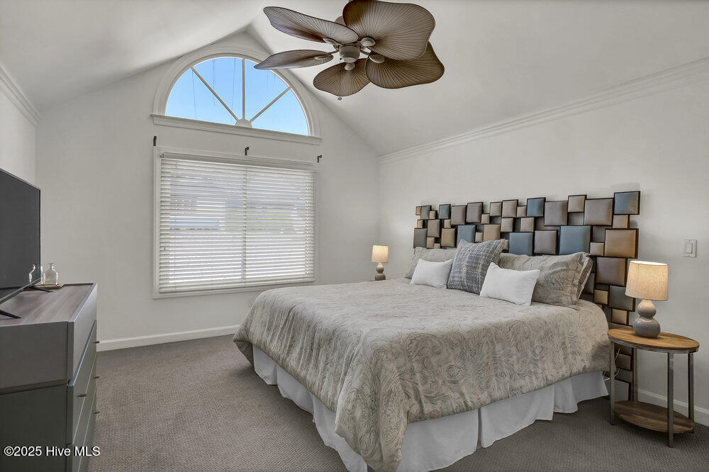 100551135 | Photo 17