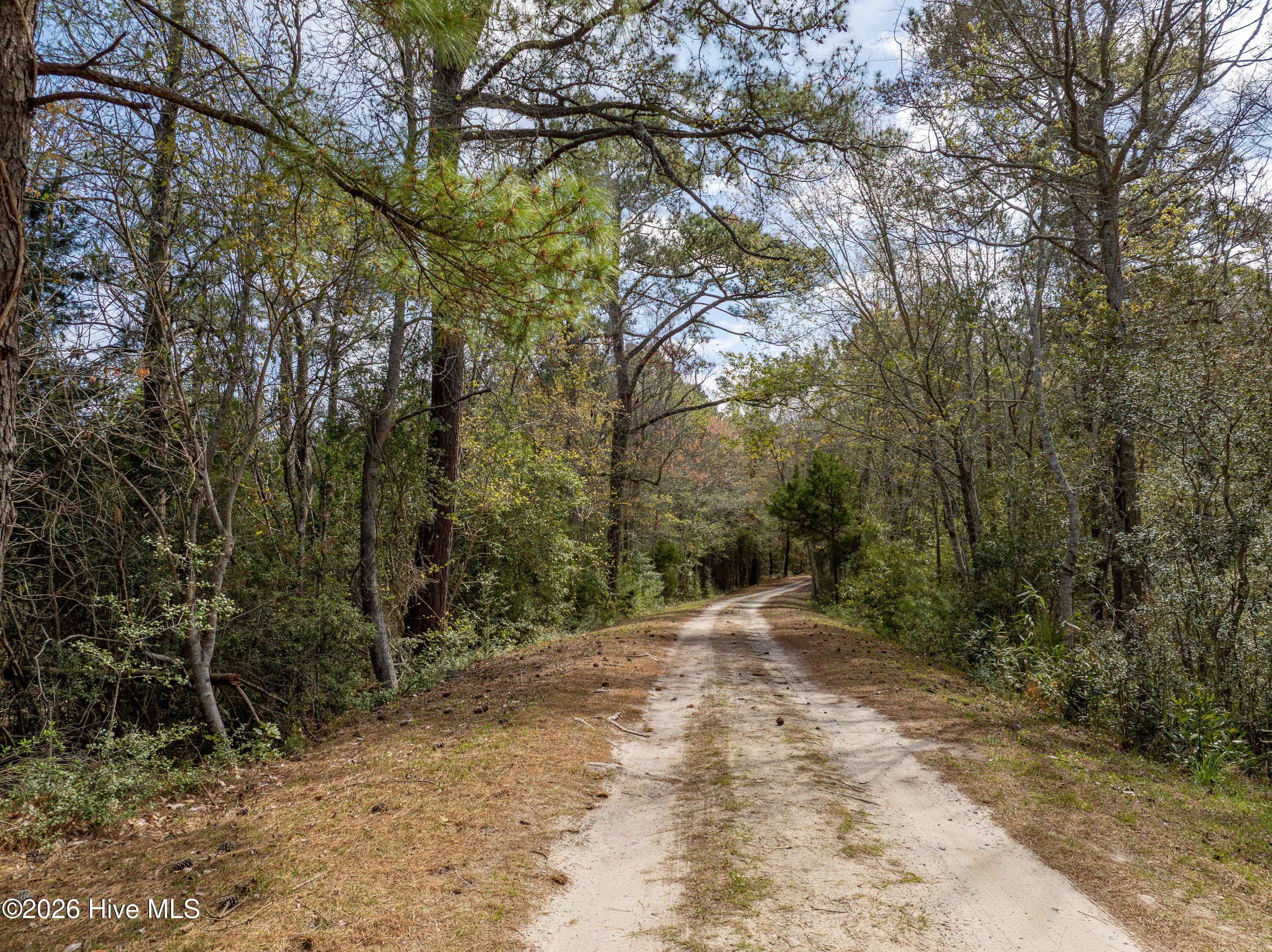 100564032 | Photo 28