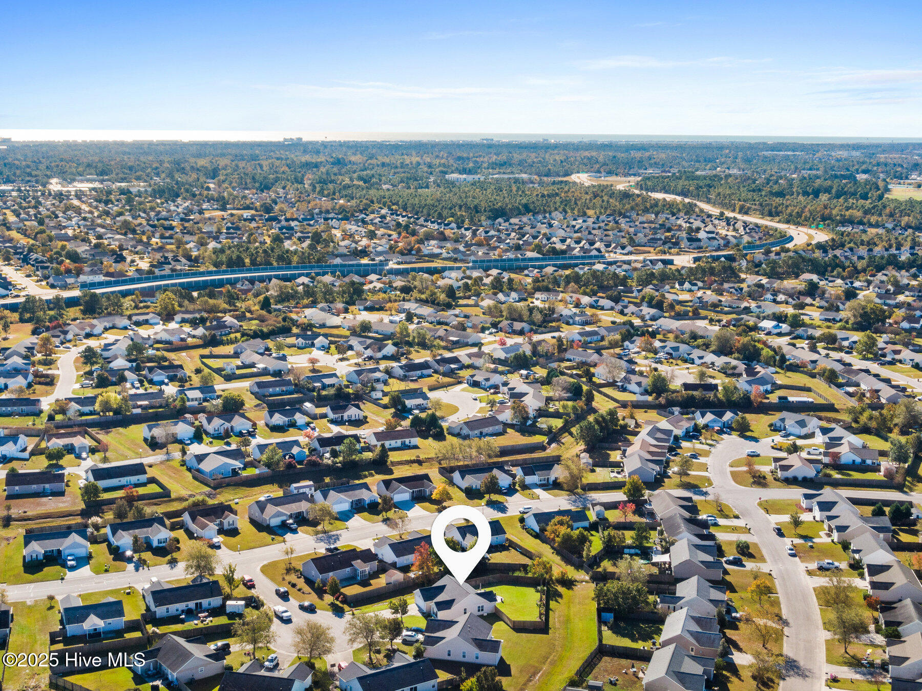 100539612 | Photo 44