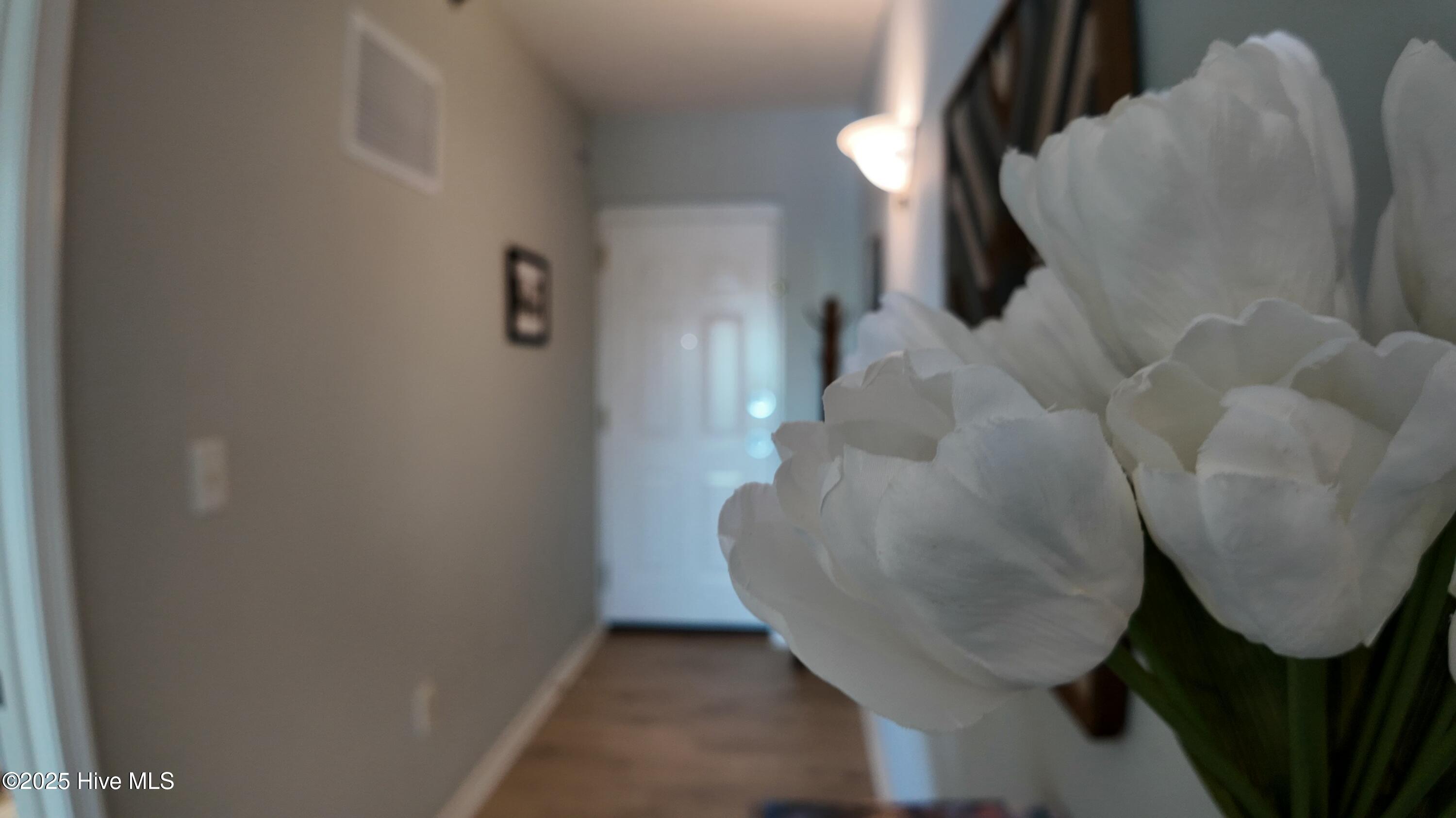 100500705 | Photo 35