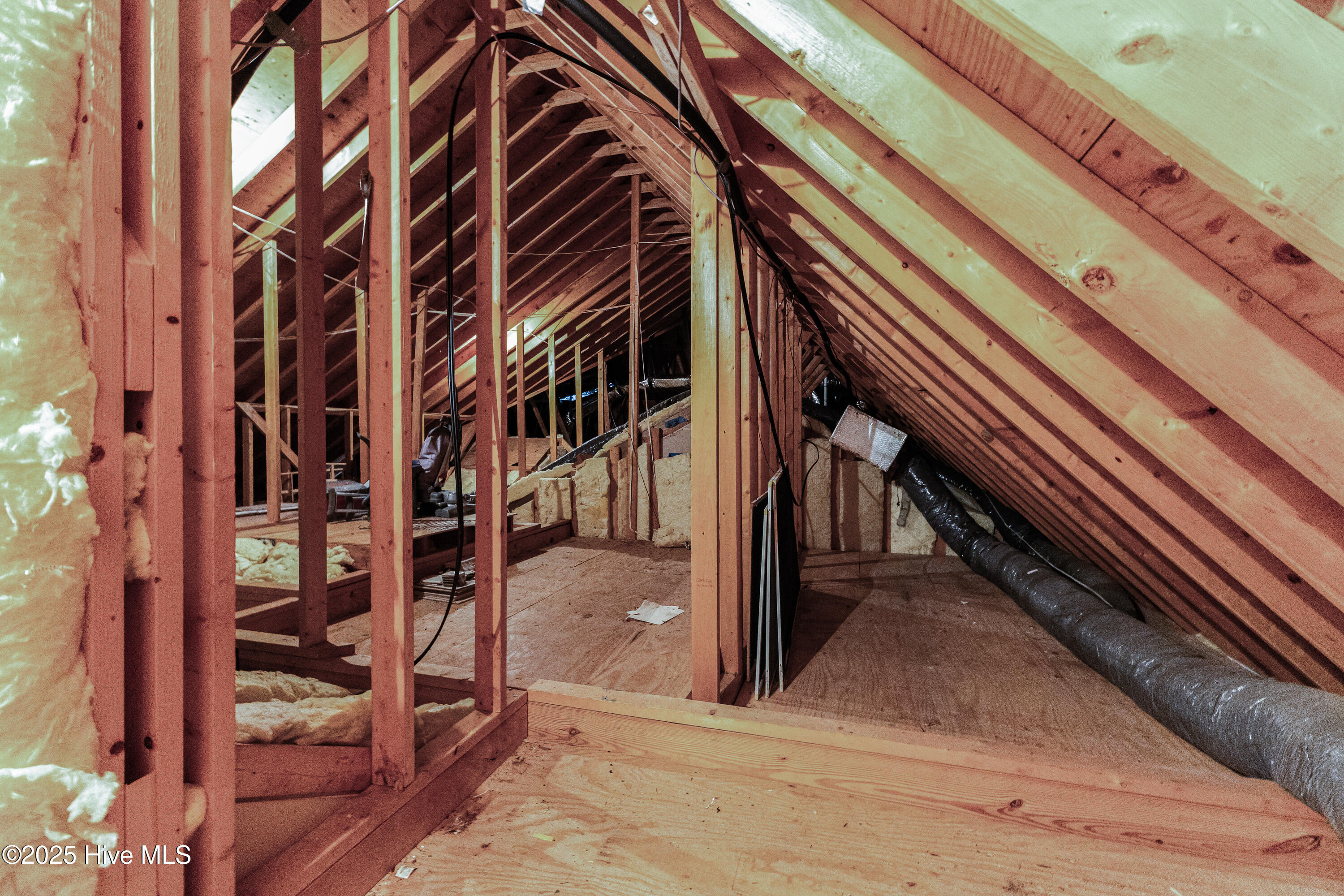 100508279 | Photo 33