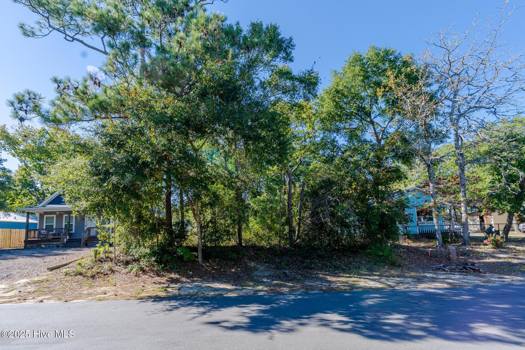 100537208 | Photo 12