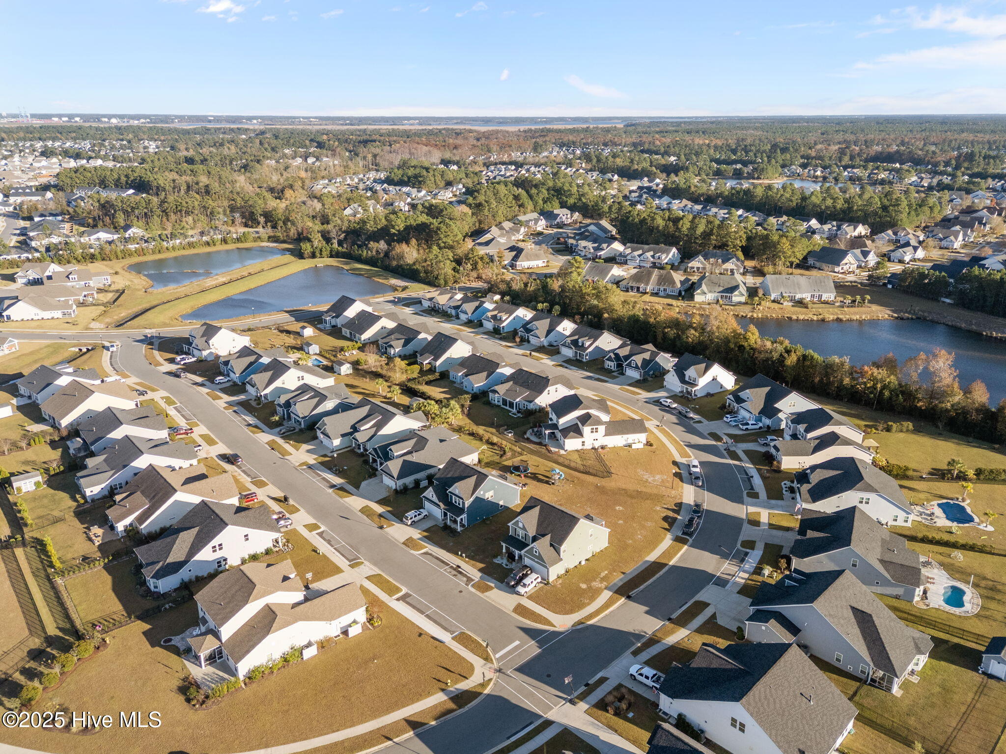 100542134 | Photo 61