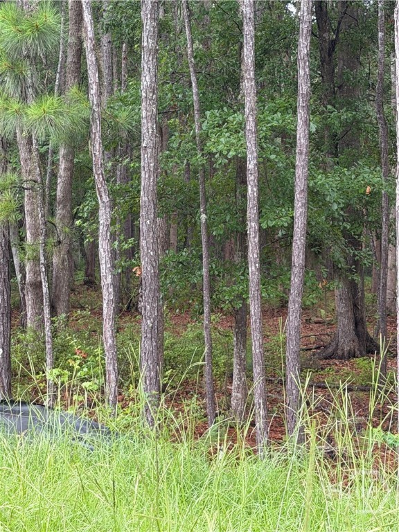 2nd image of 157 Wood Haven Ln, Pooler, GA 31322 | MLS# SA358802