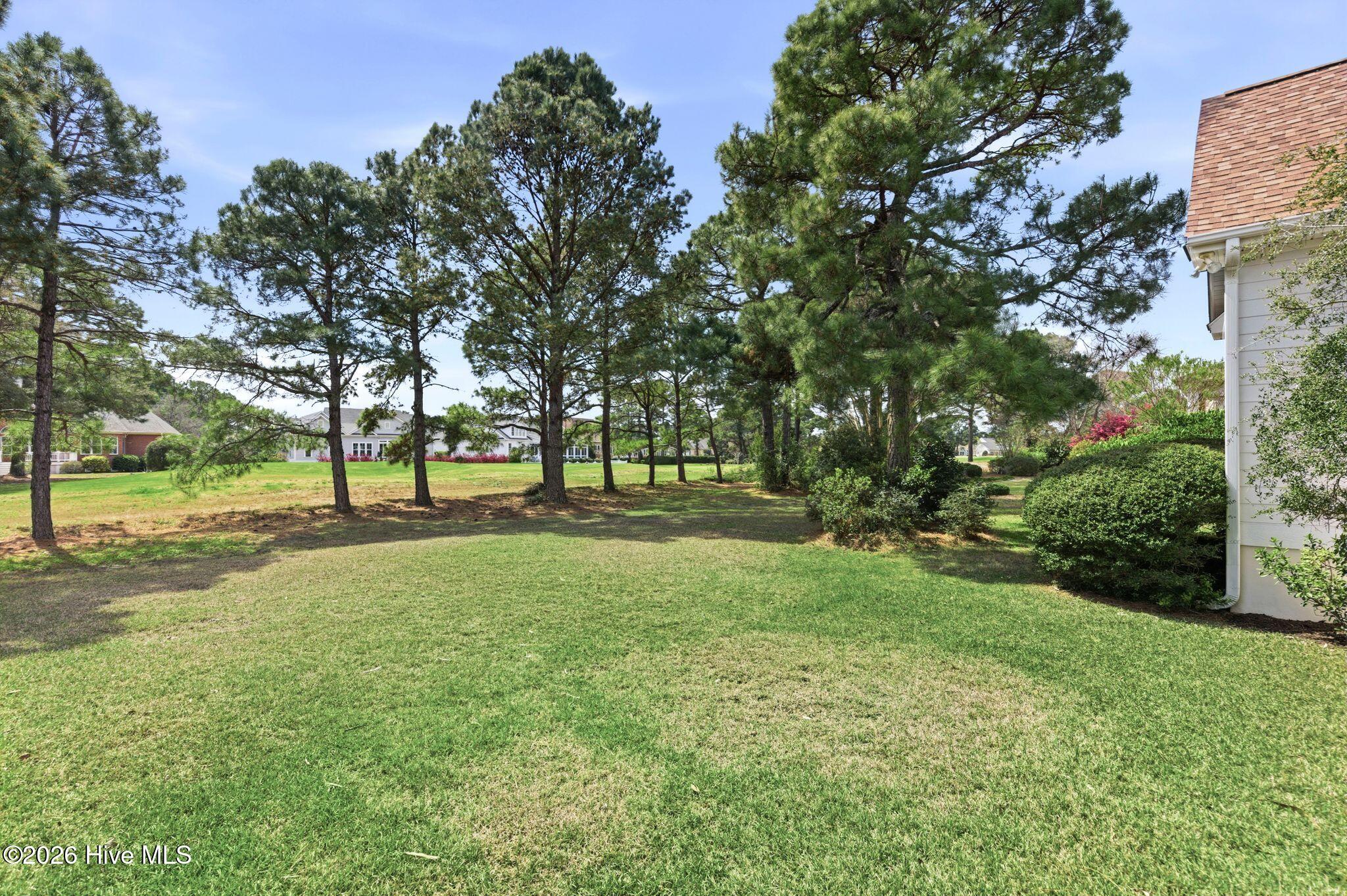 100564291 | Photo 68