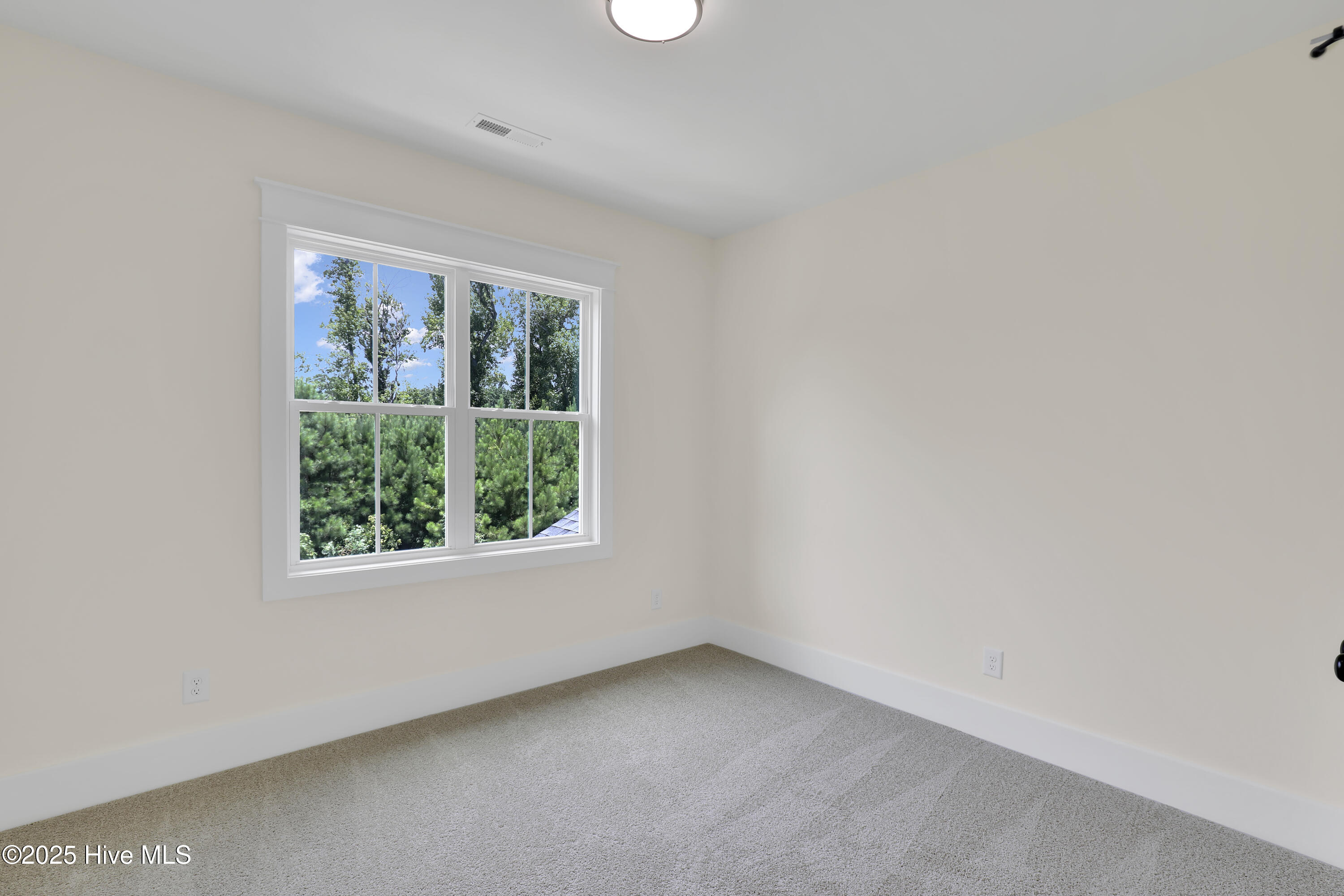 100525634 | Photo 26