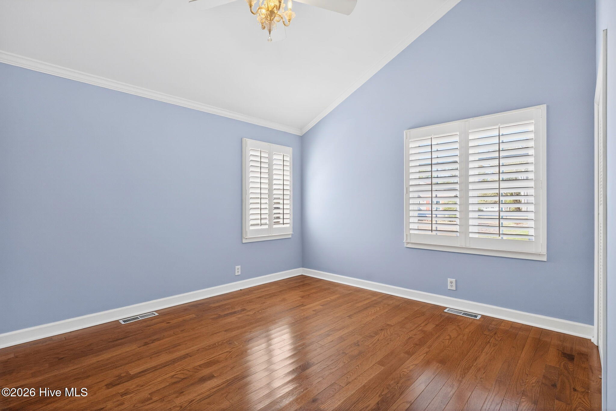 100558194 | Photo 22