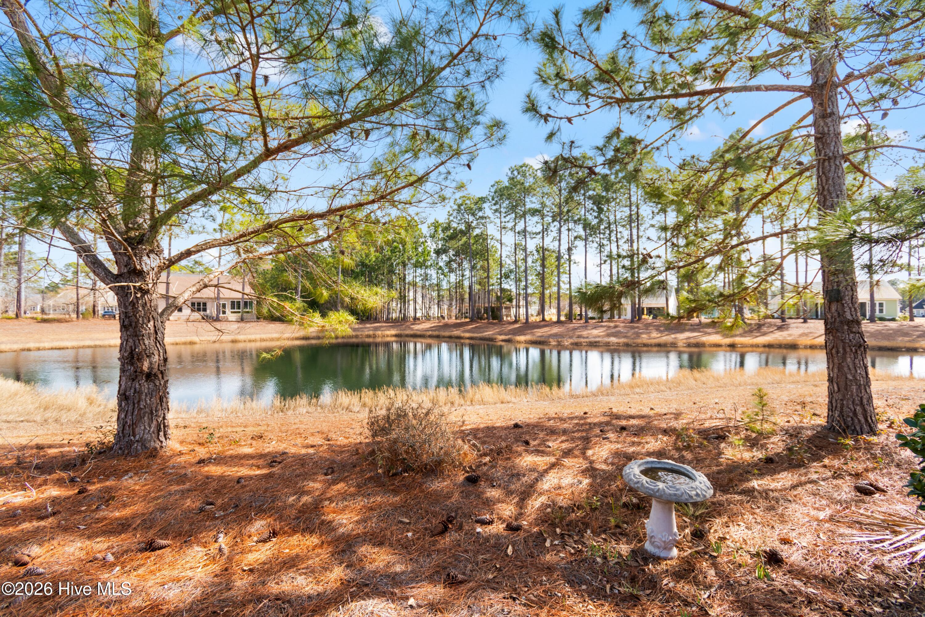 100555309 | Photo 21