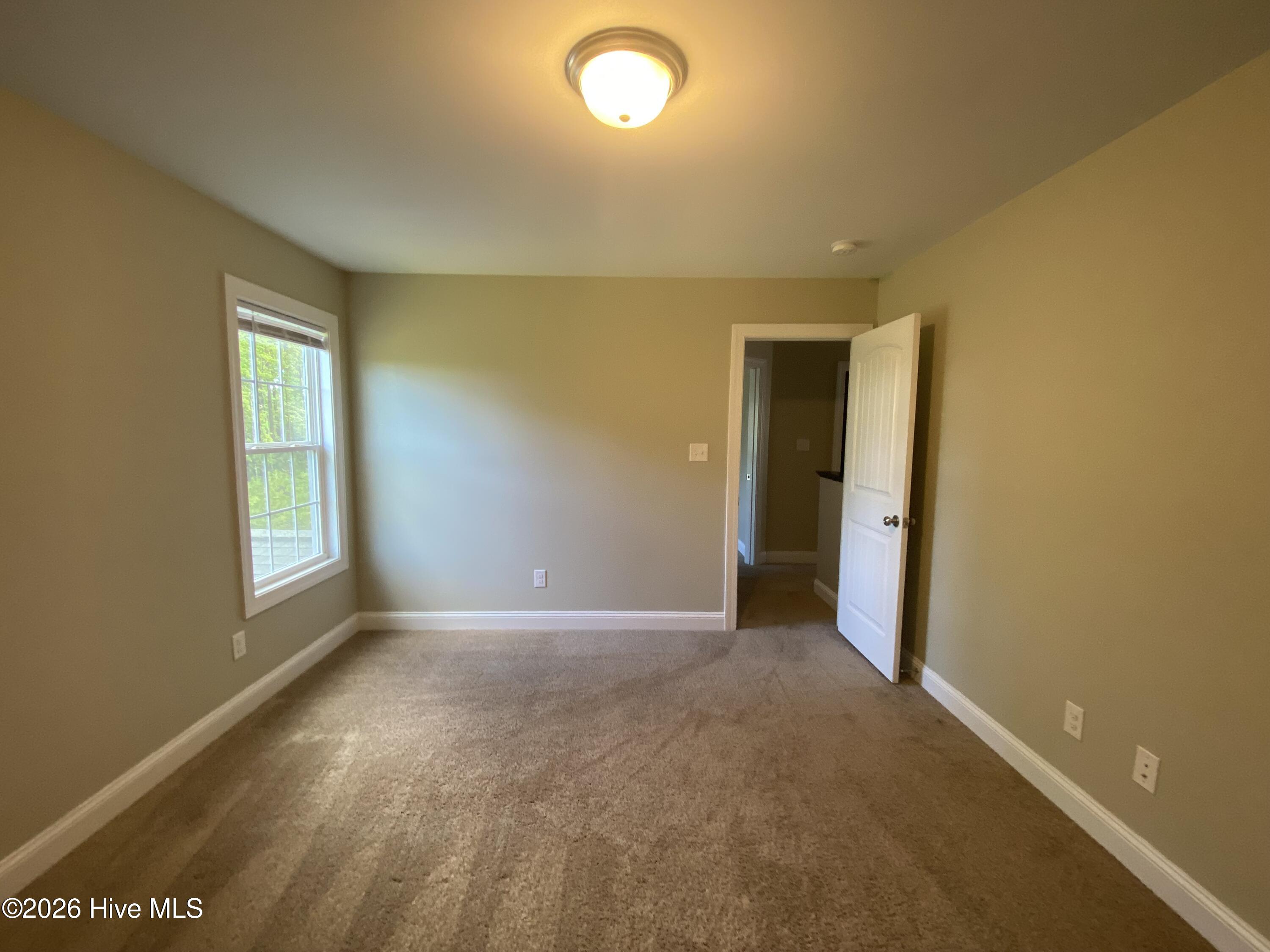 100567028 | Photo 18