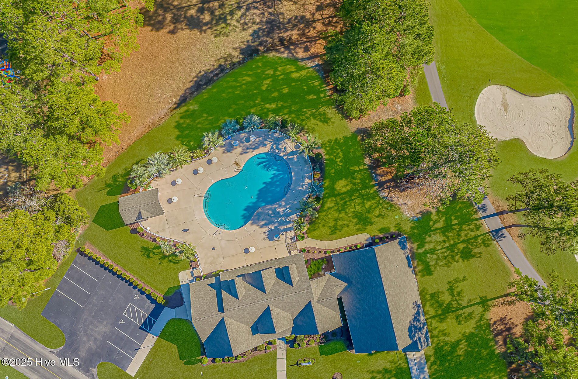 100545861 | Photo 41