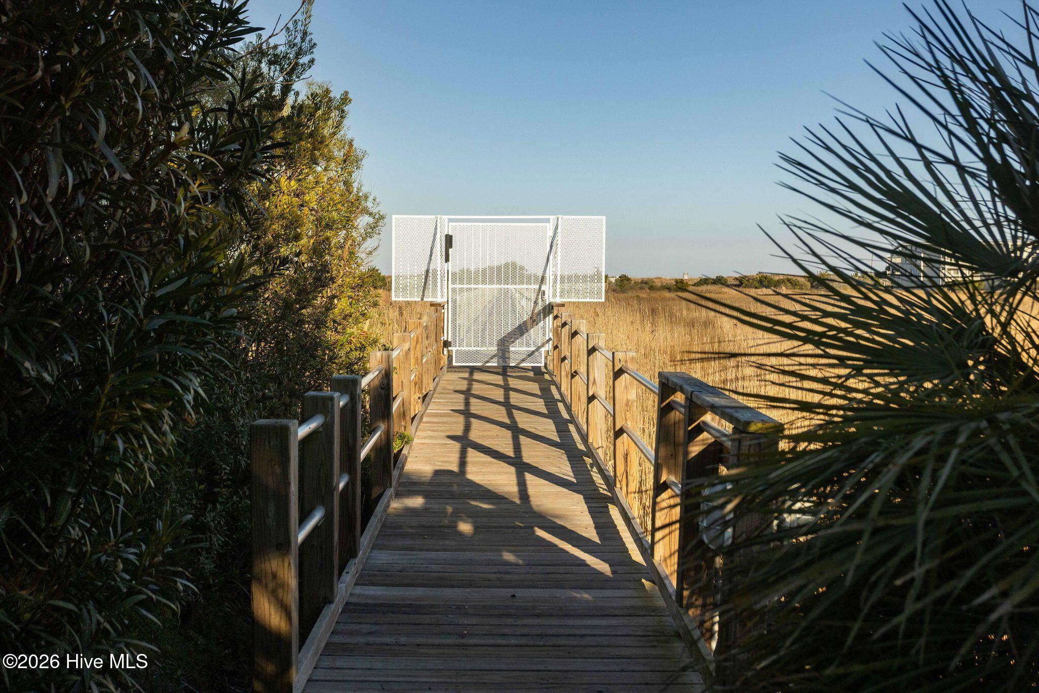 100554597 | Photo 60