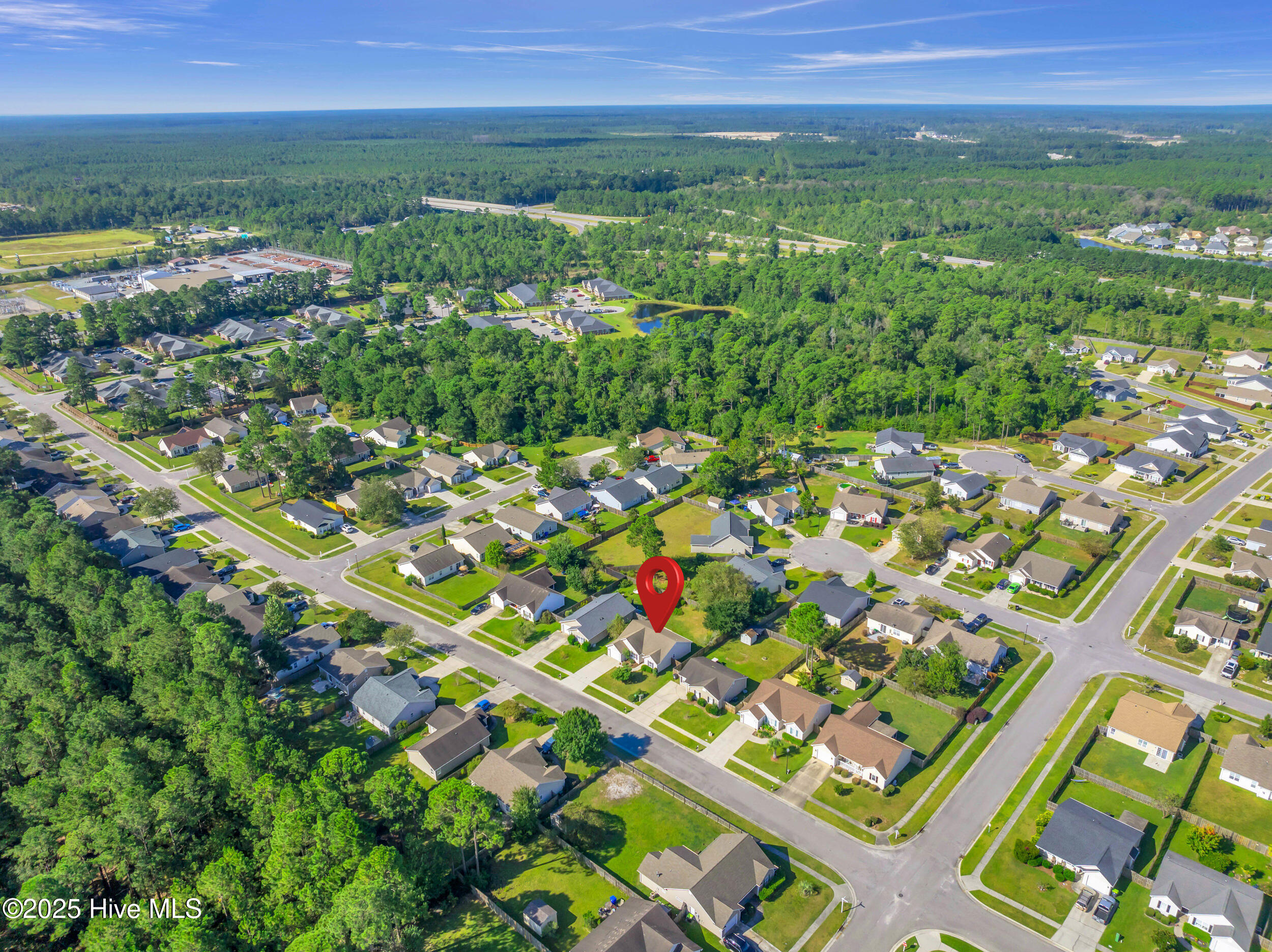 100531255 | Photo 40