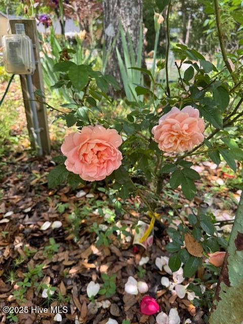 100513257 | Photo 71