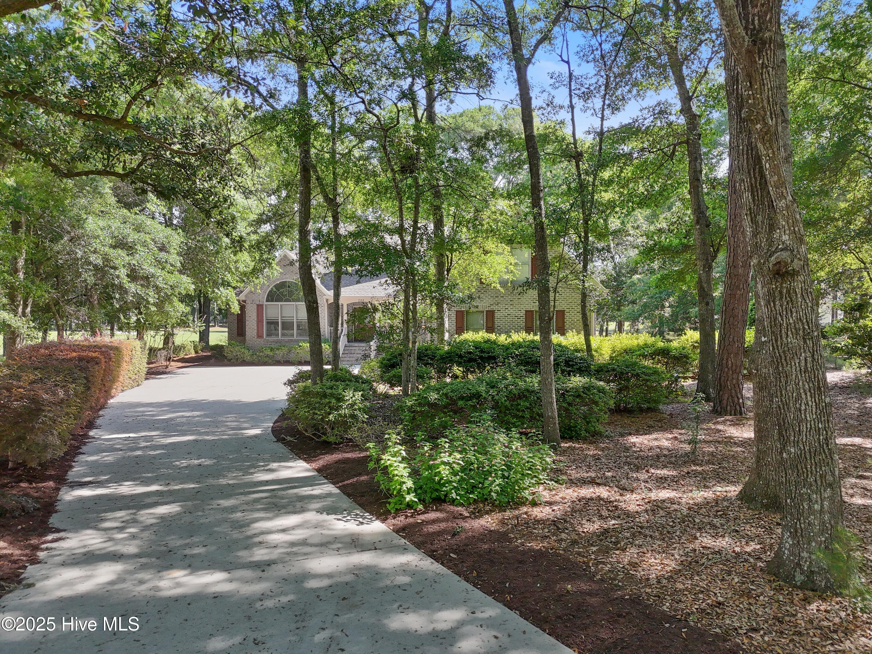 100509392 | Photo 57