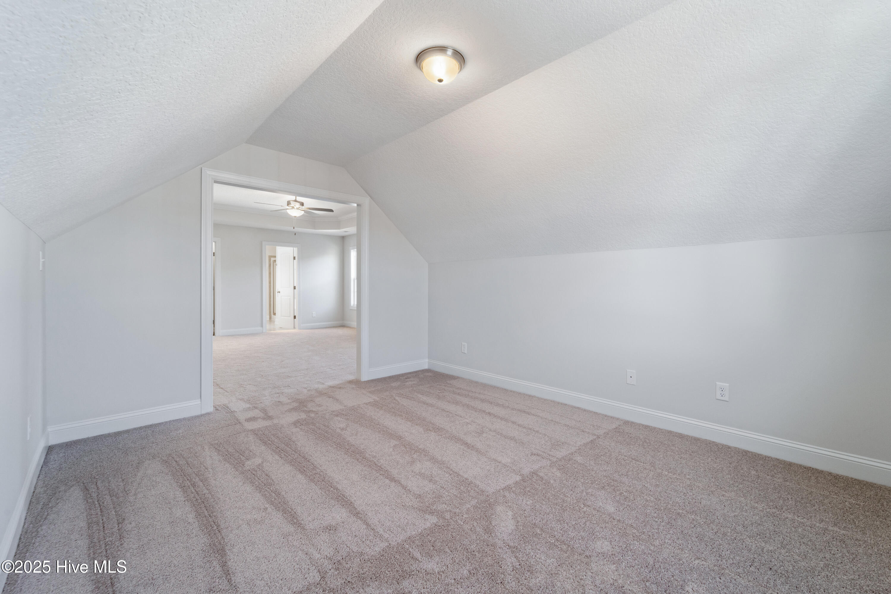 100512578 | Photo 34