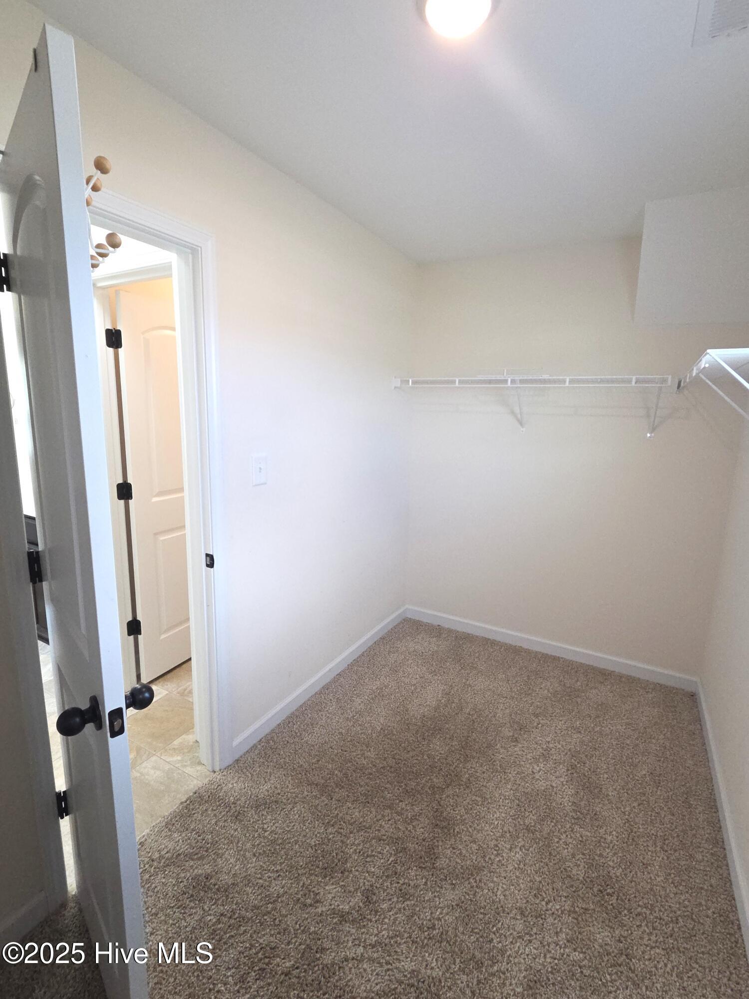 100527843 | Photo 16