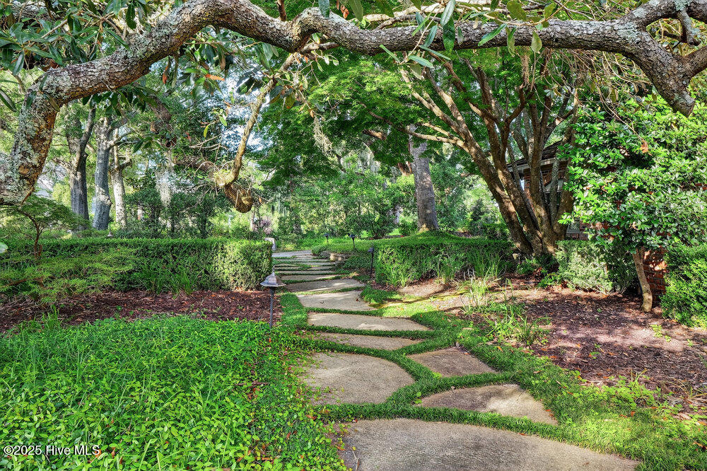 100544850 | Photo 77