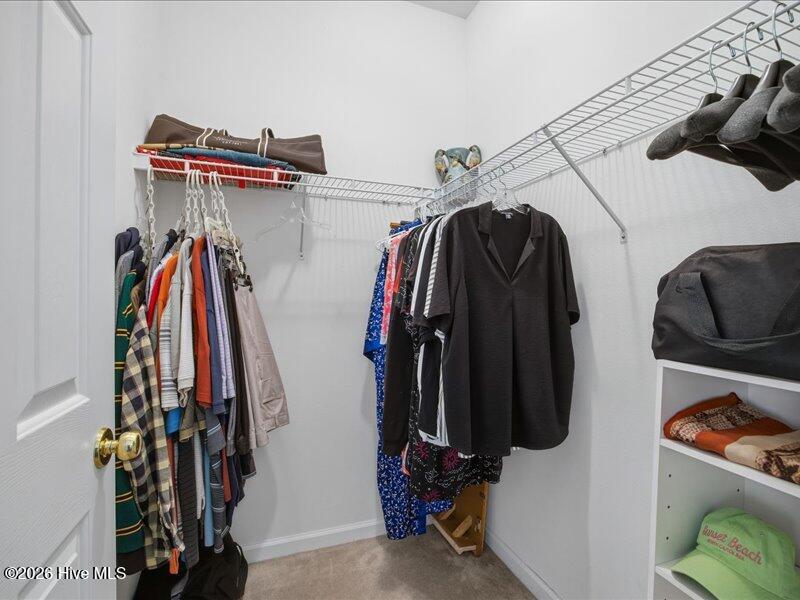 100553416 | Photo 21