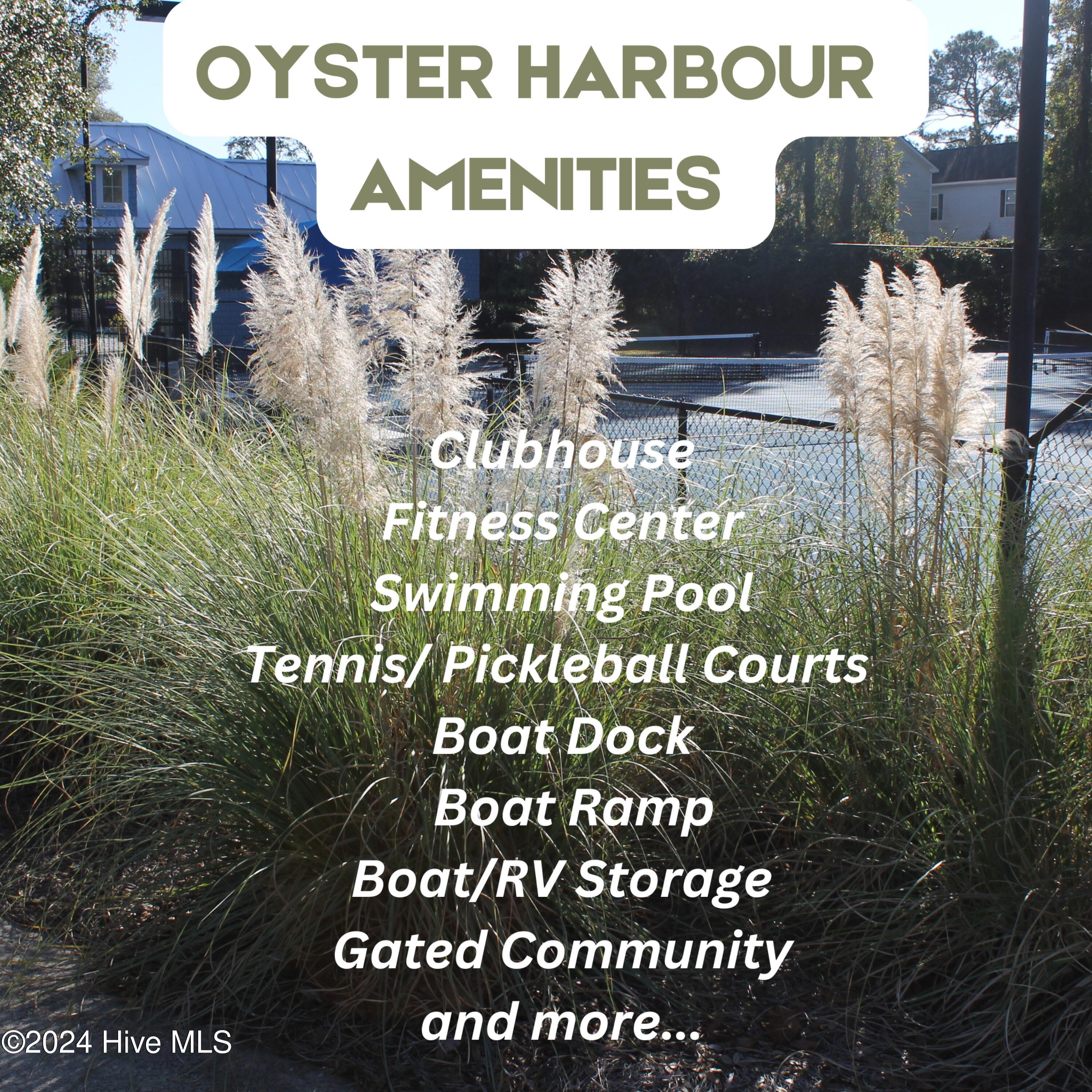 100478916 | Photo 48