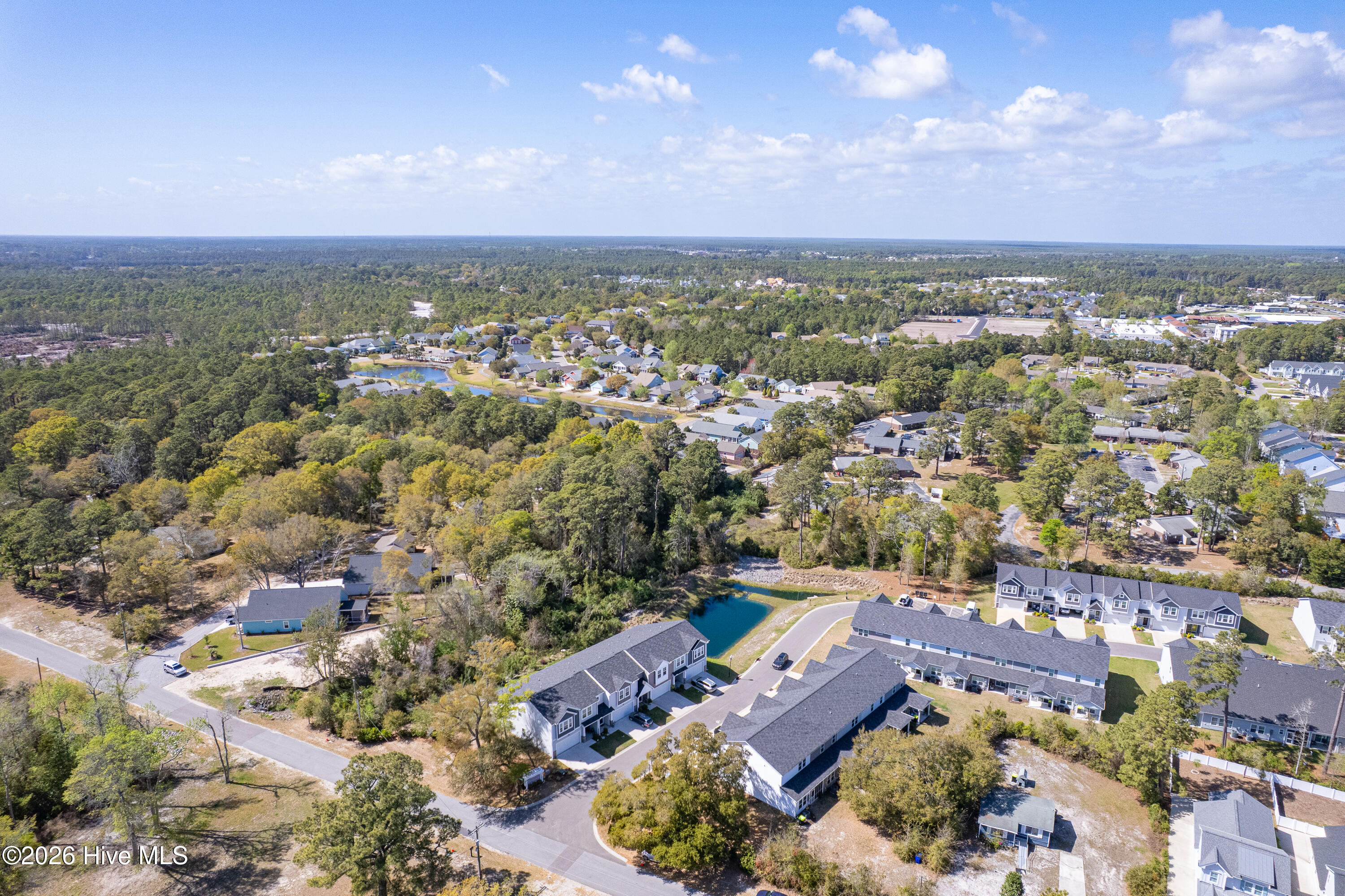 100565599 | Photo 51