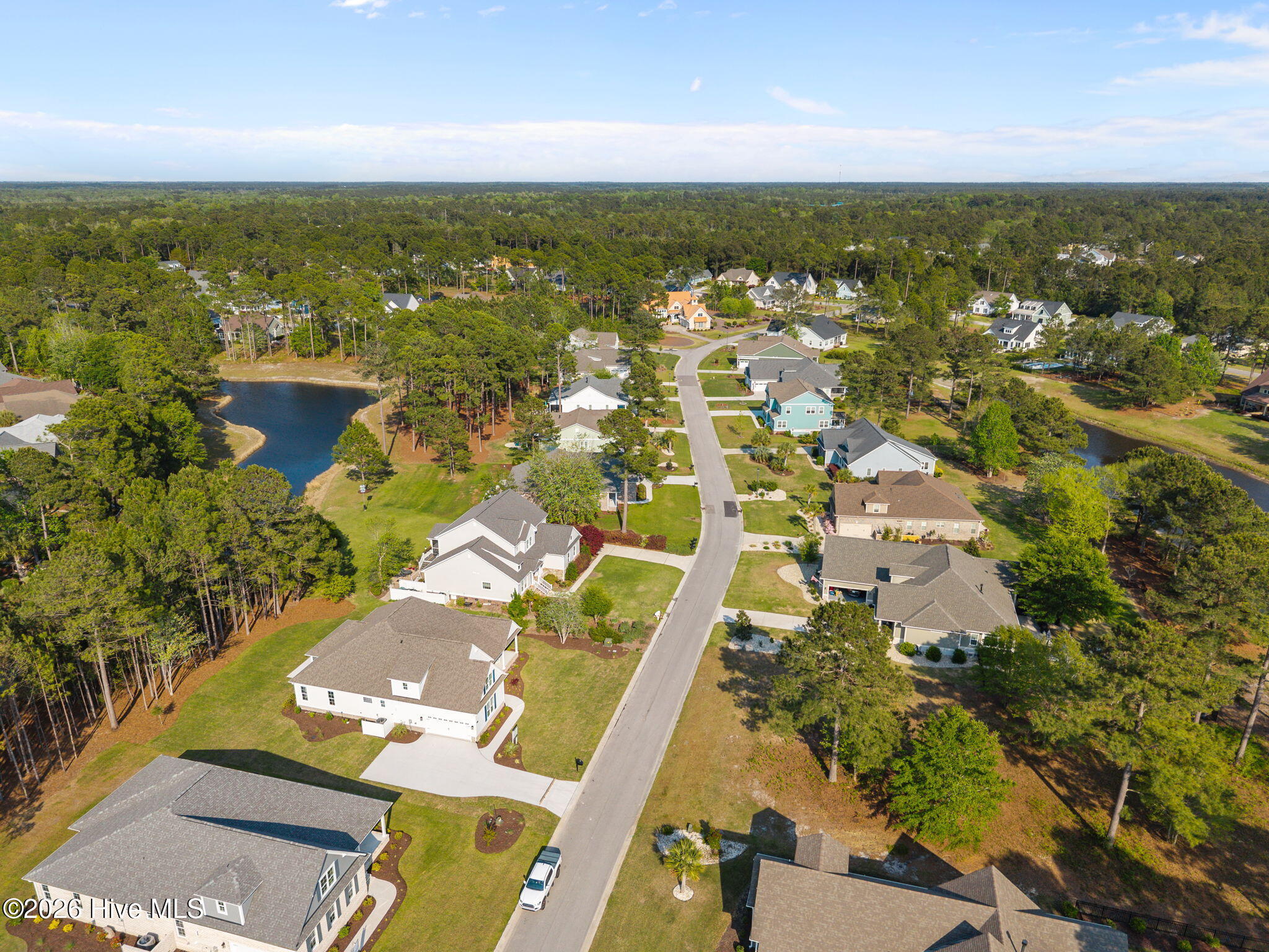 100554681 | Photo 49