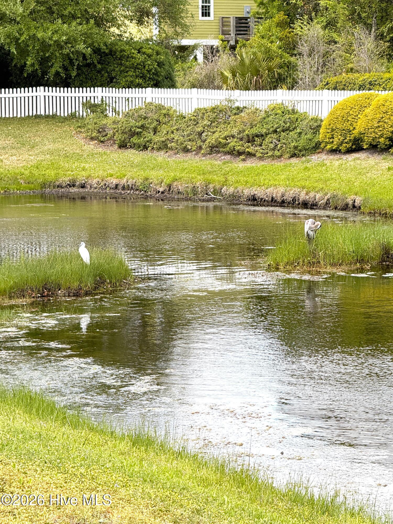 100566158 | Photo 44