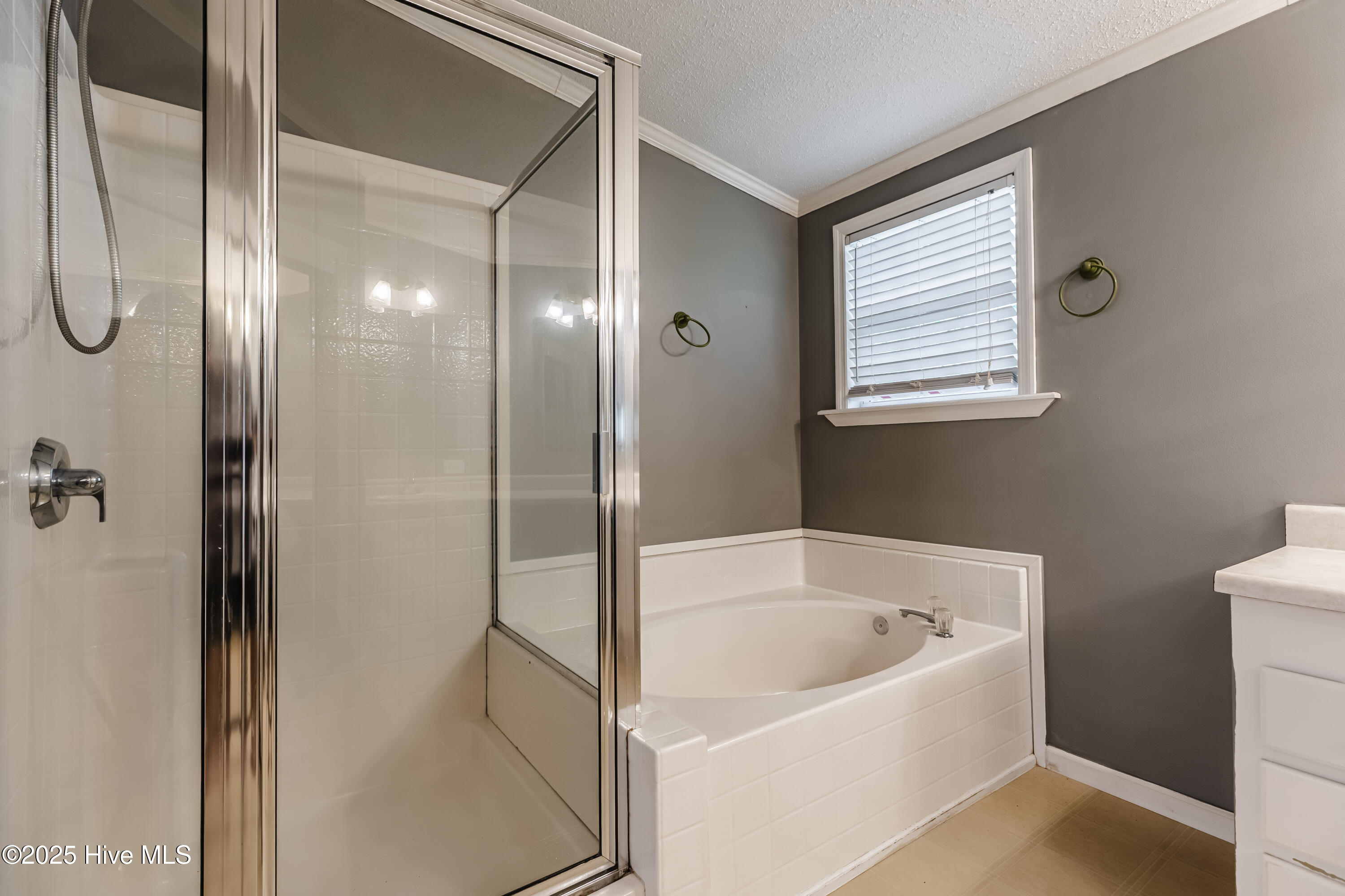 100524257 | Photo 21