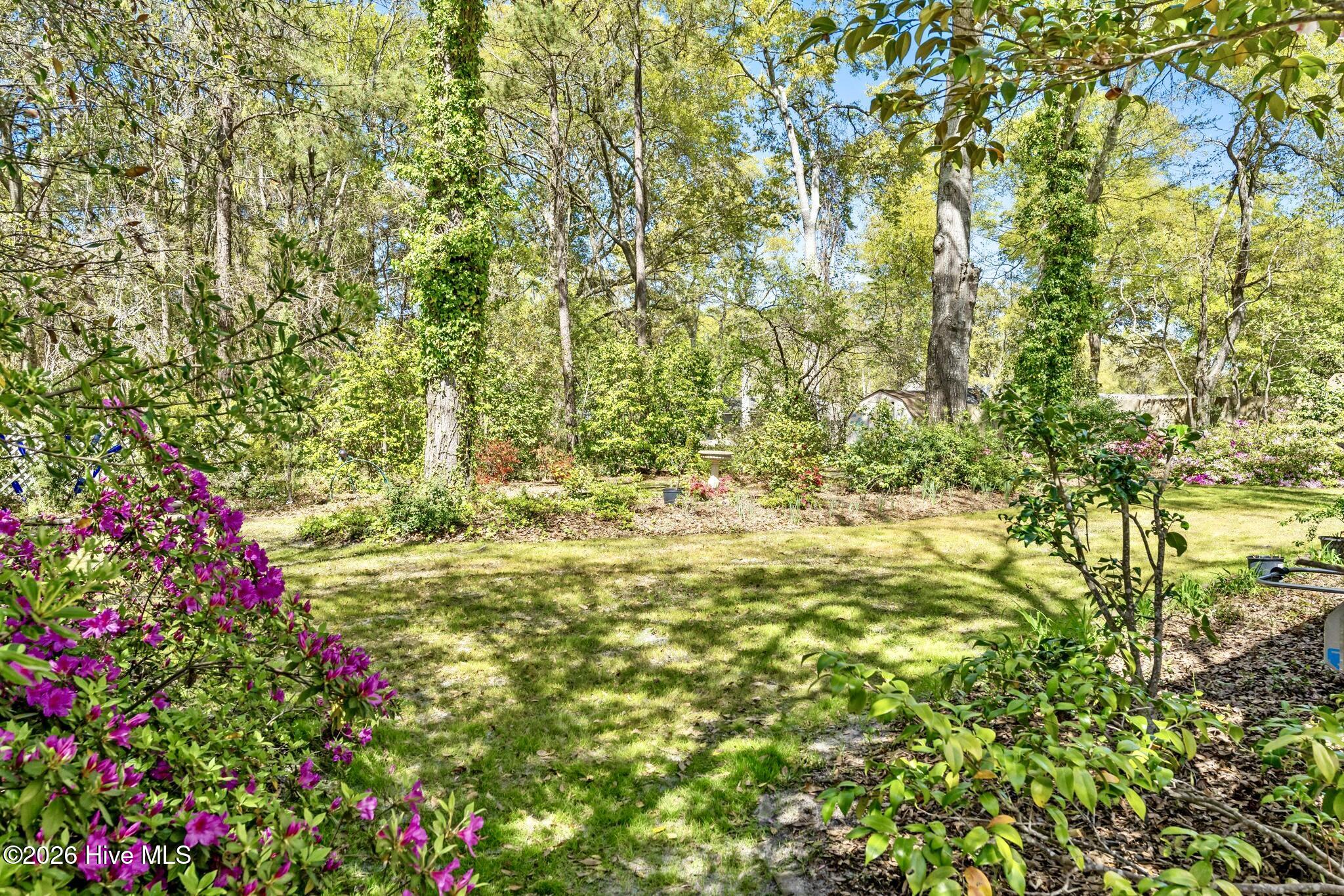 100561830 | Photo 32