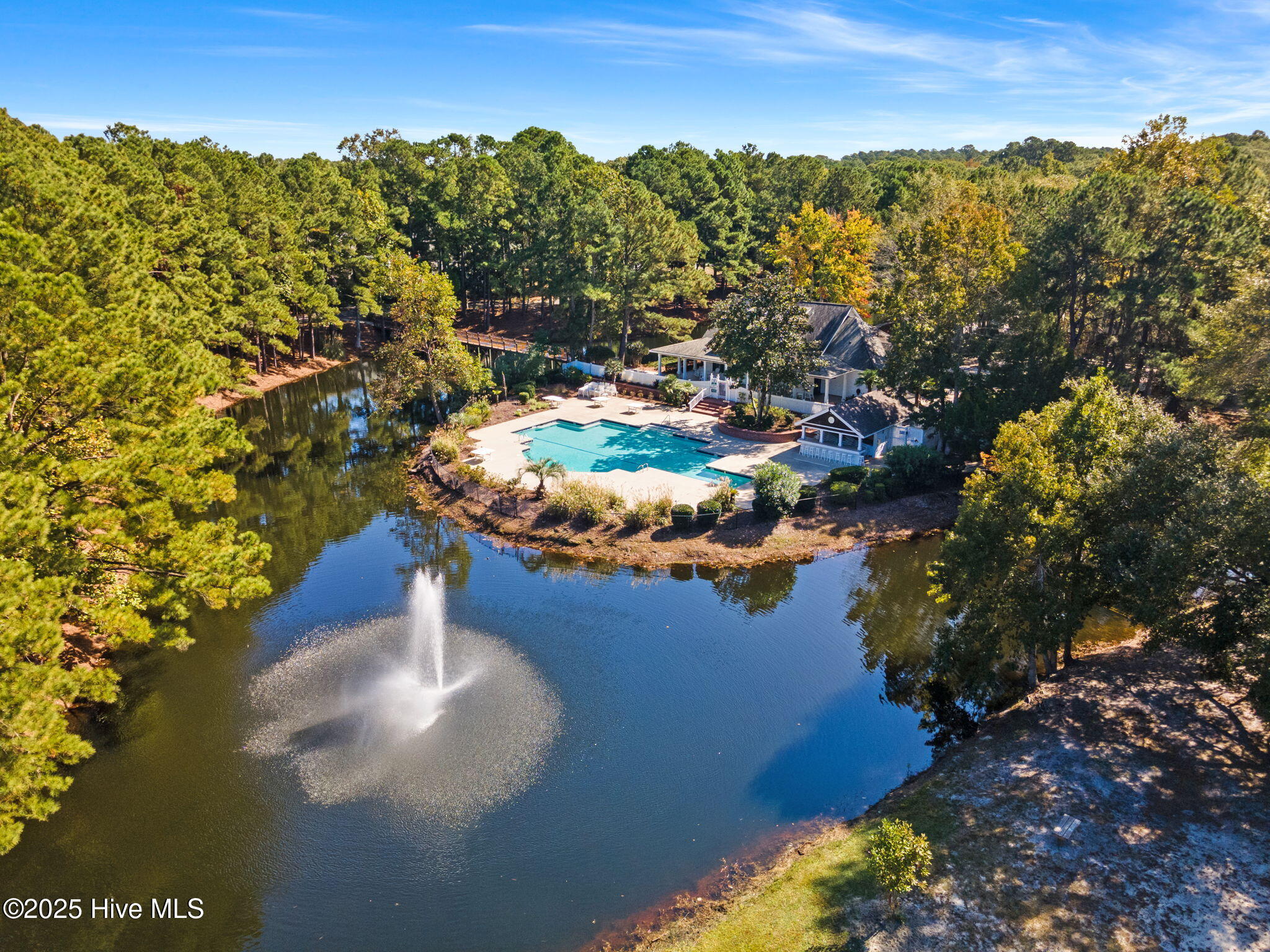 100516296 | Photo 50