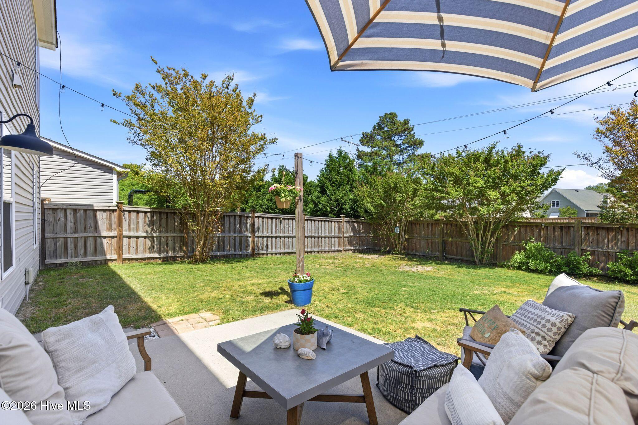 100566118 | Photo 52