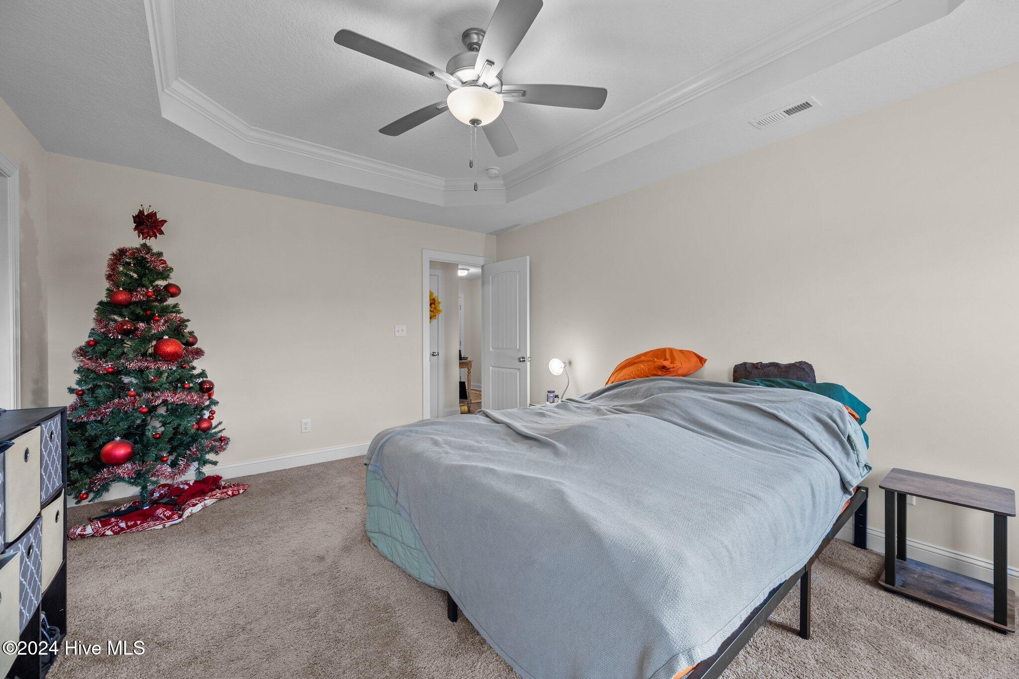 100551017 | Photo 20