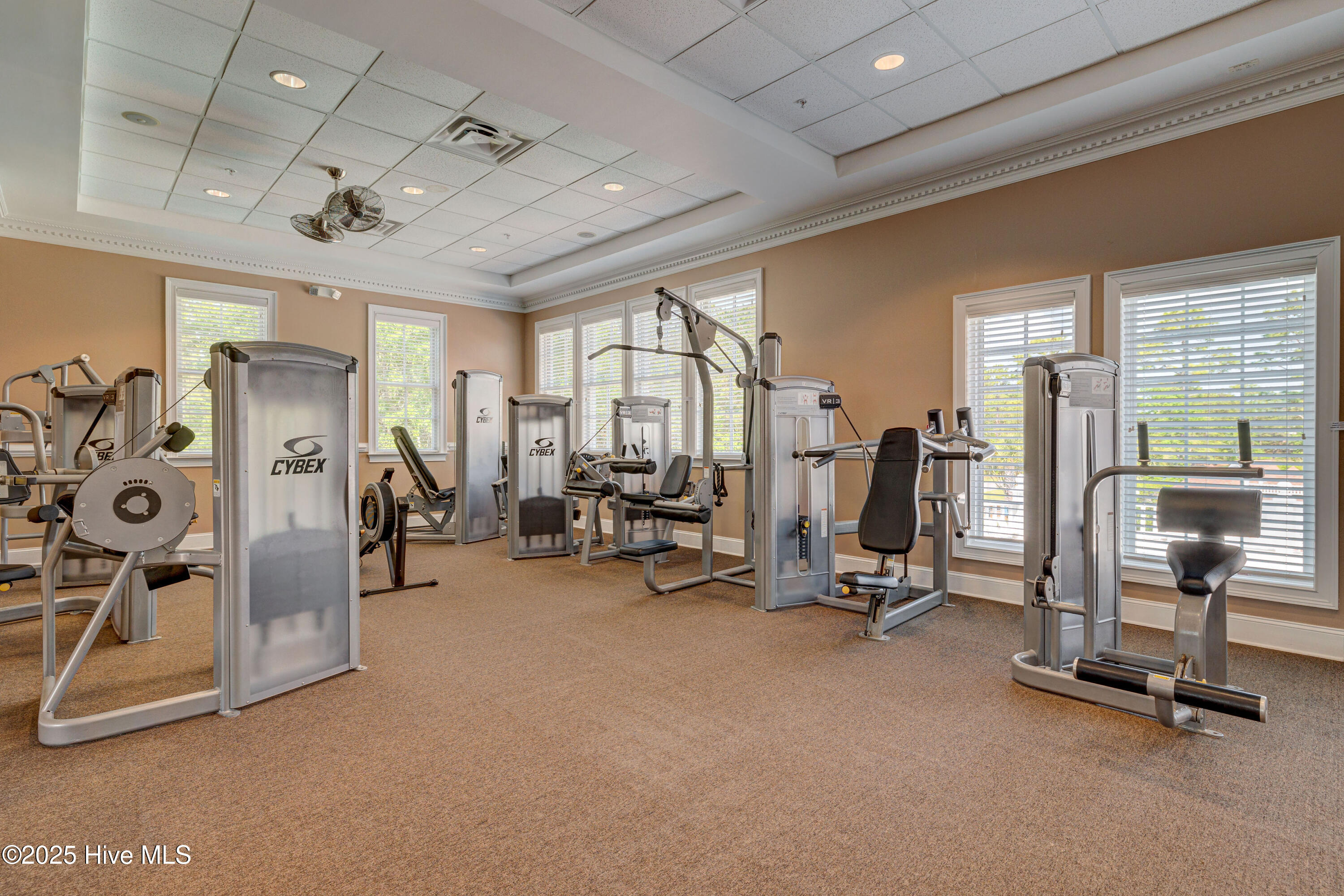 100547497 | Photo 31