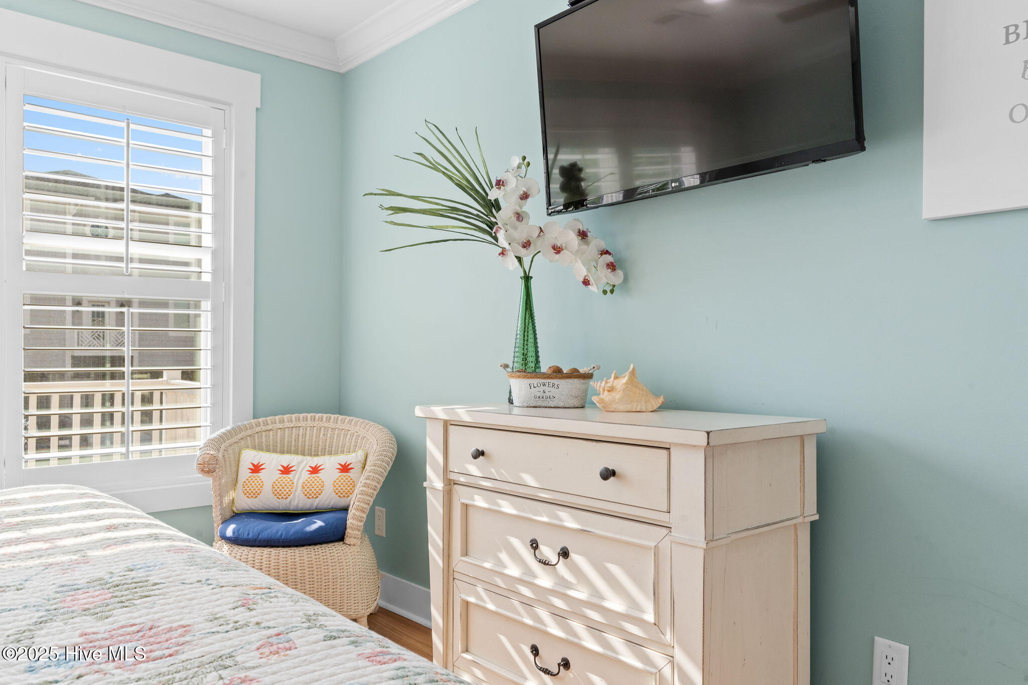 100541677 | Photo 27