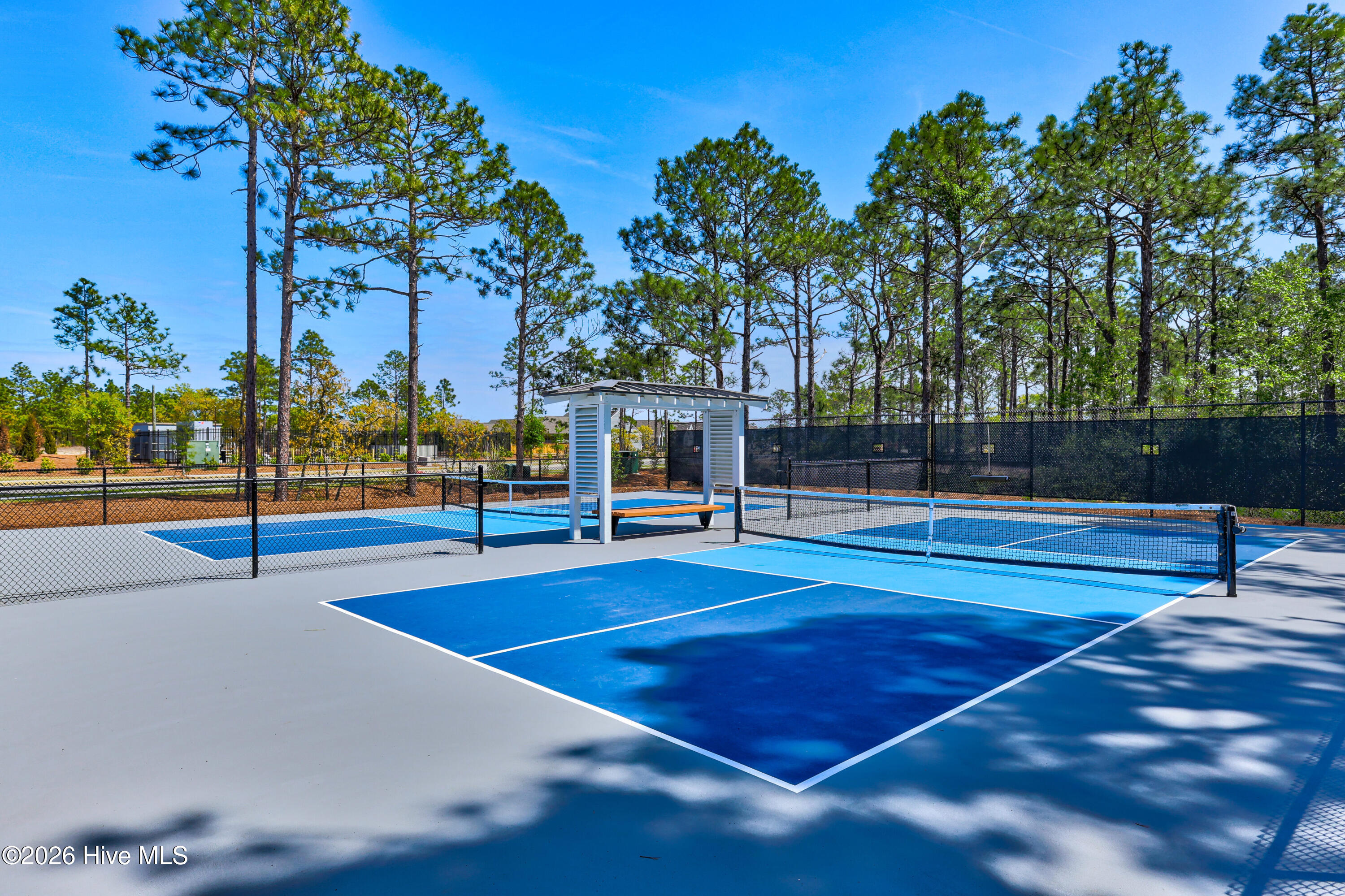 100566807 | Photo 43