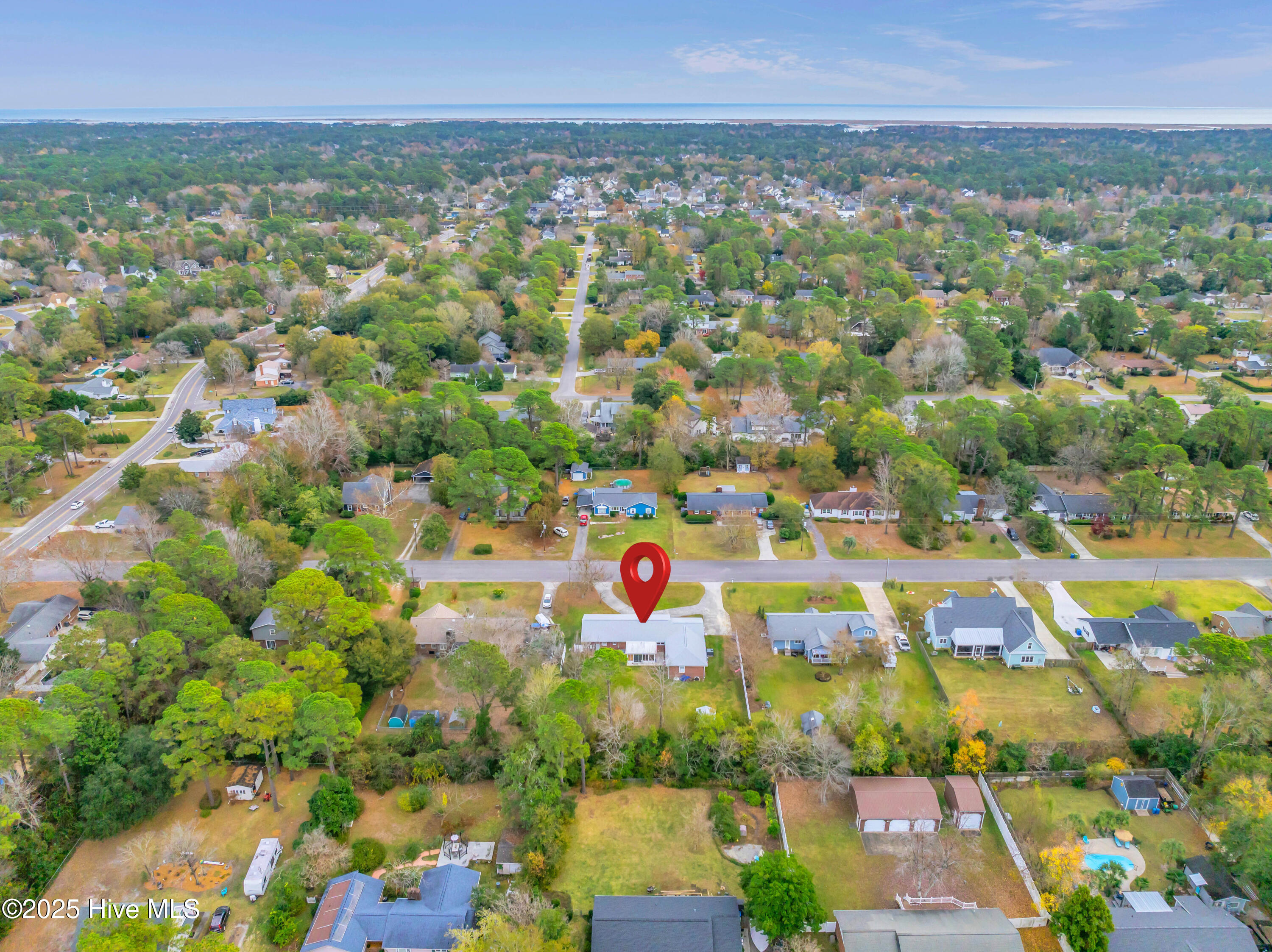 100567003 | Photo 48