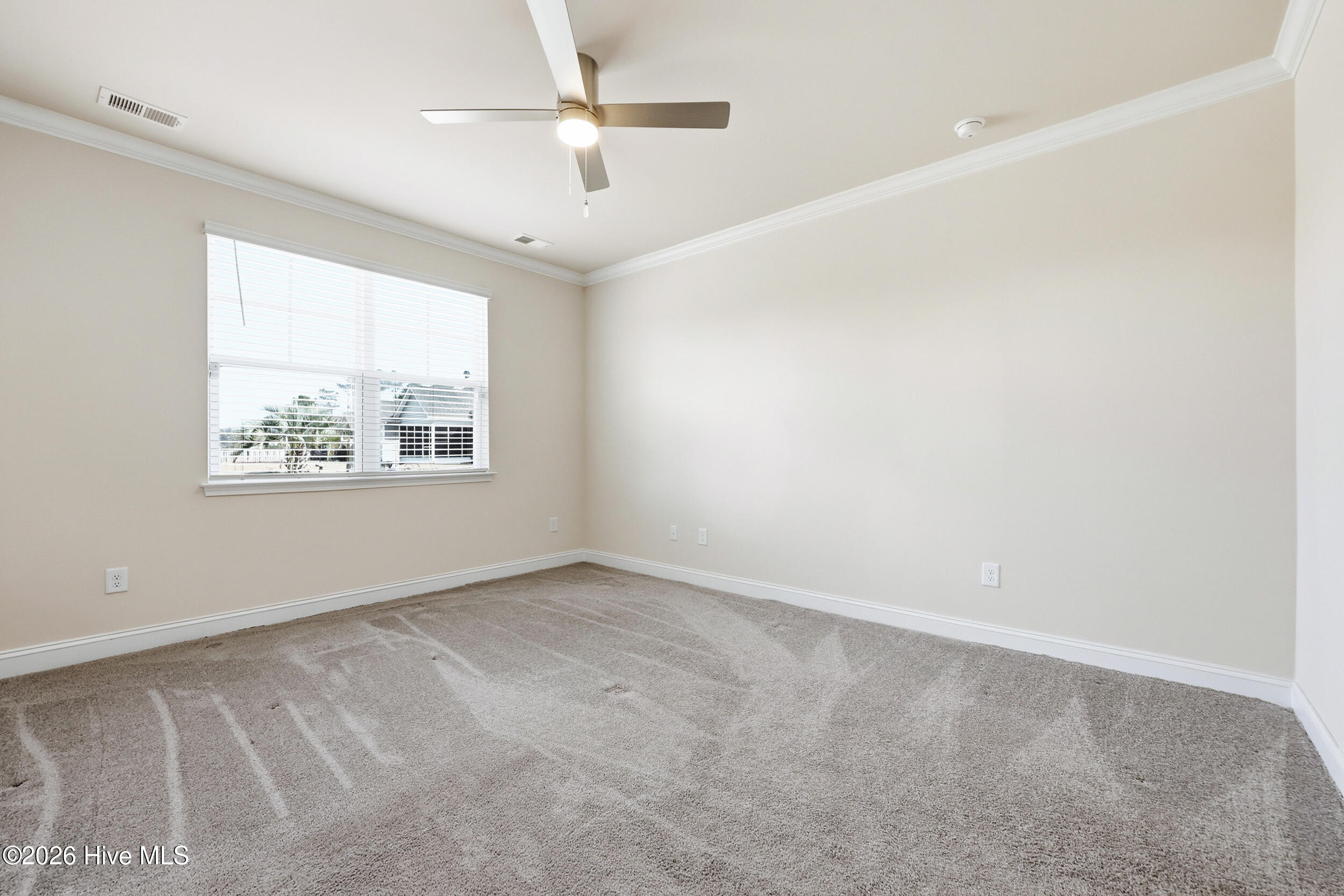 100558001 | Photo 23