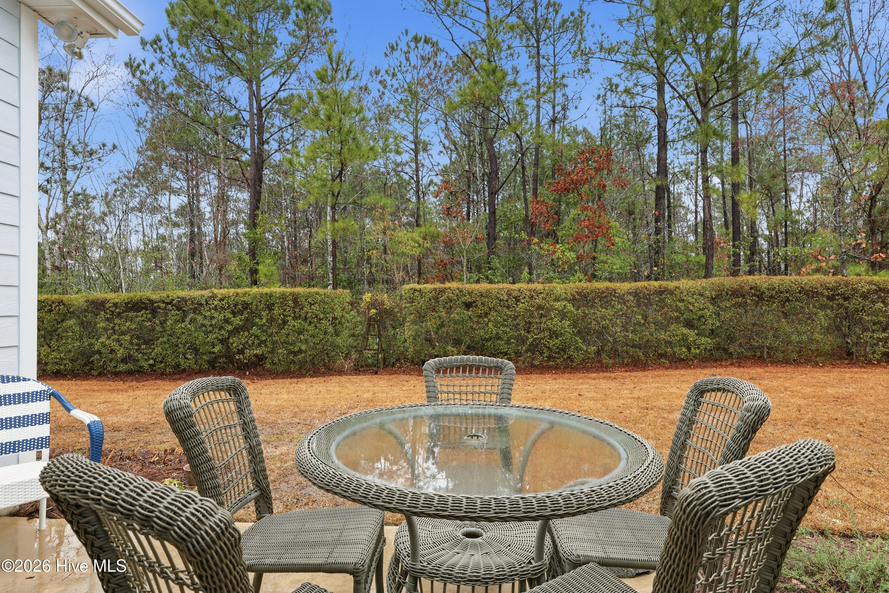 100557965 | Photo 37