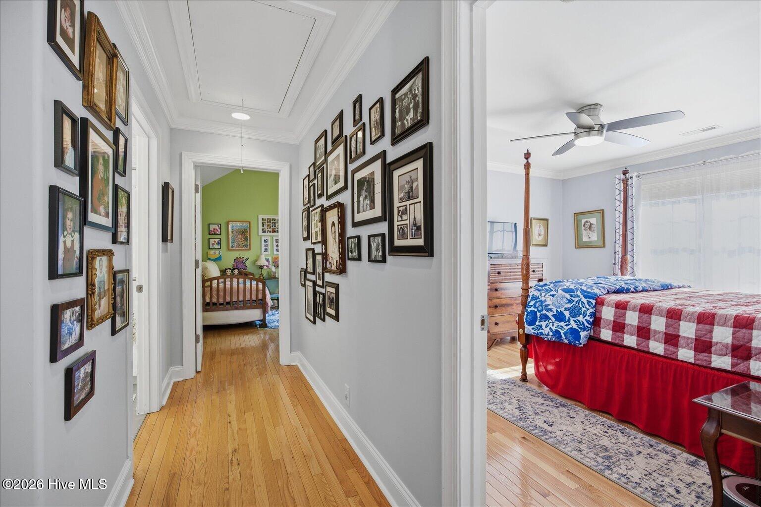 100559309 | Photo 33