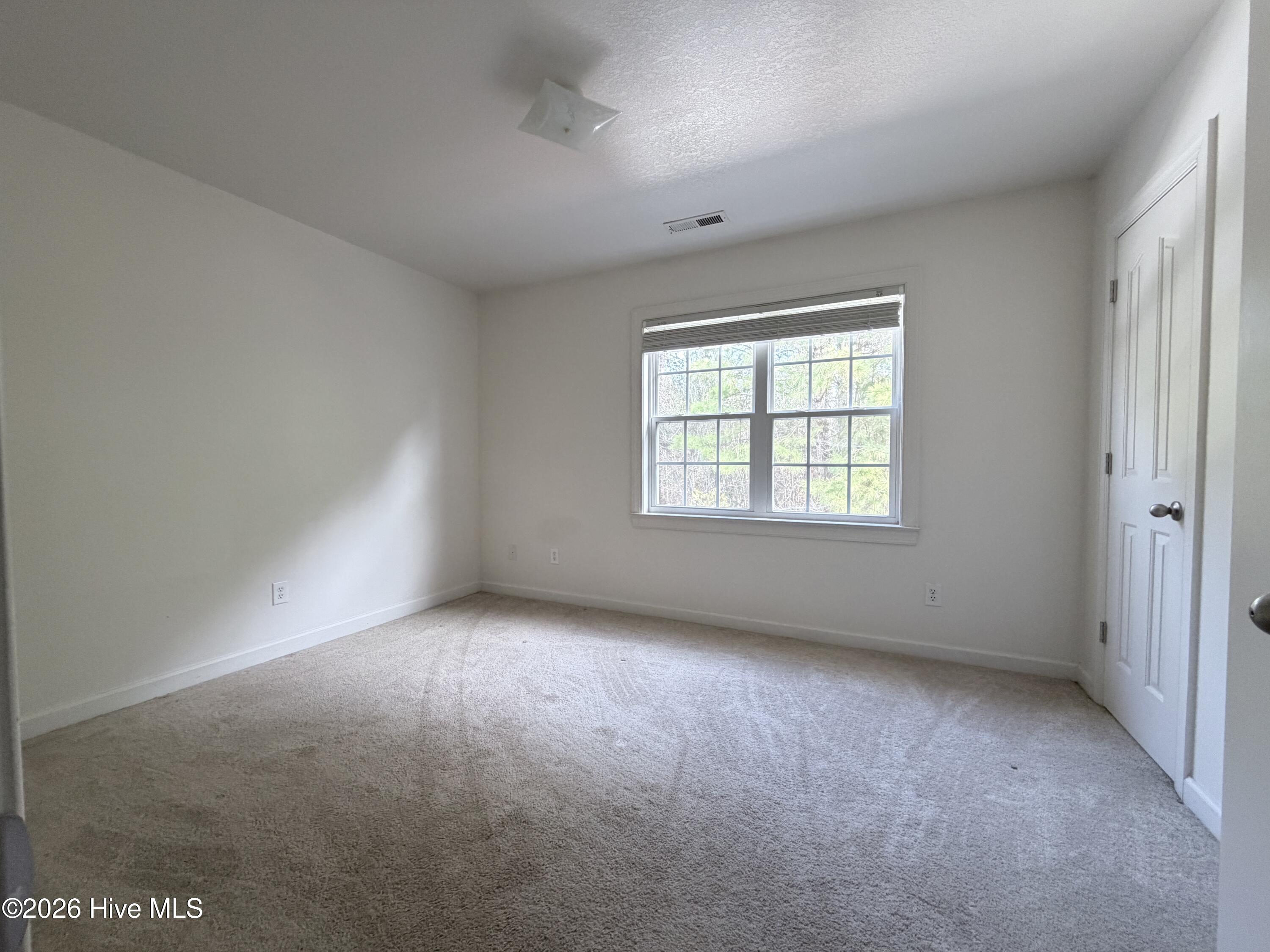 100534613 | Photo 11