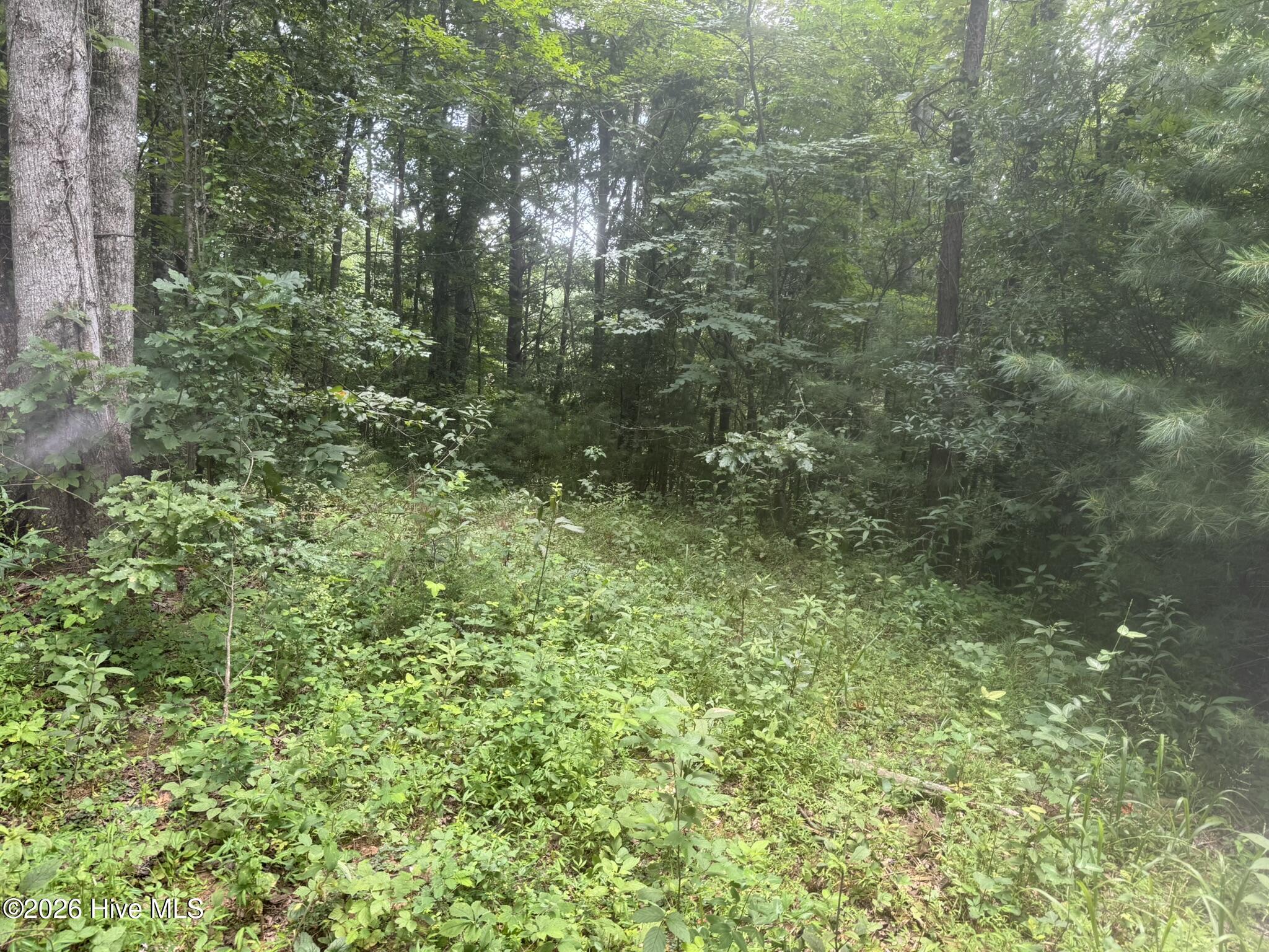 Exterior photo of 12,13 Camp Creek Estates Drive, Murphy, NC 28906. MLS: 100595374