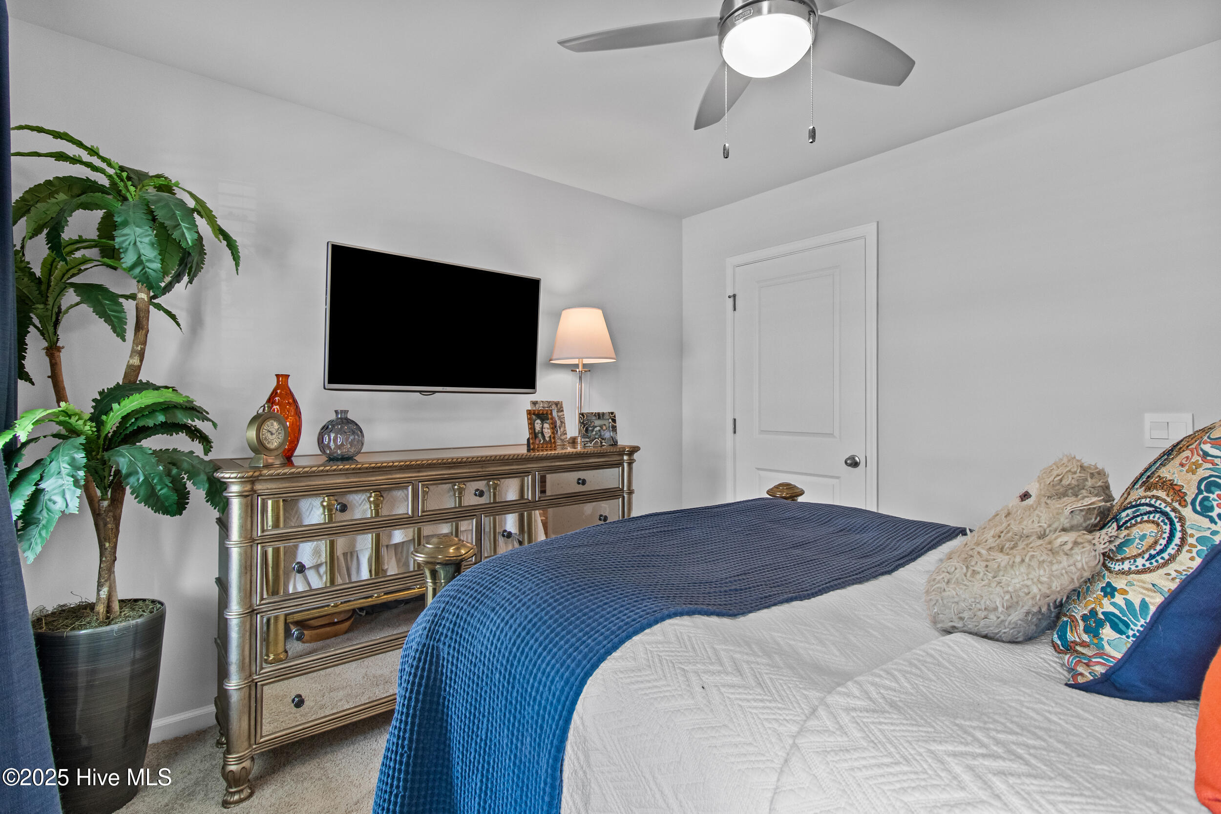 100533883 | Photo 26