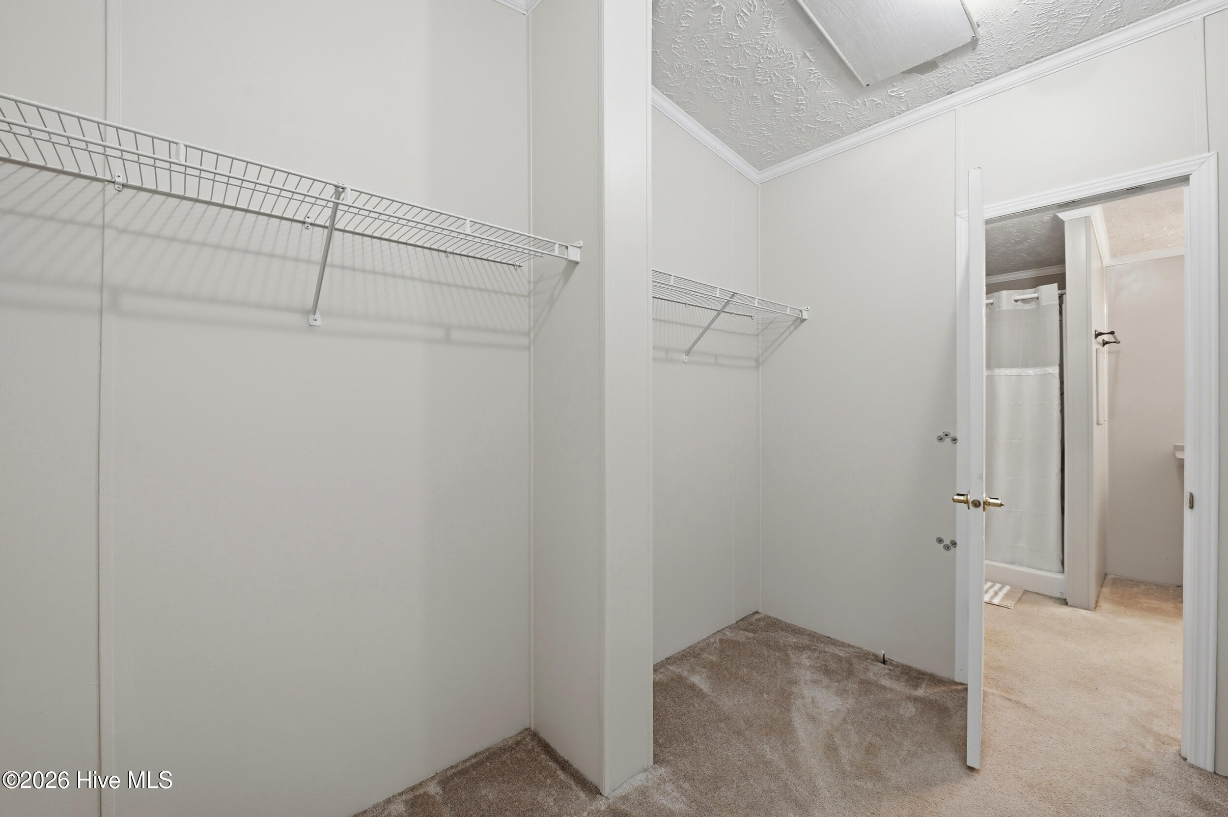 100564299 | Photo 43