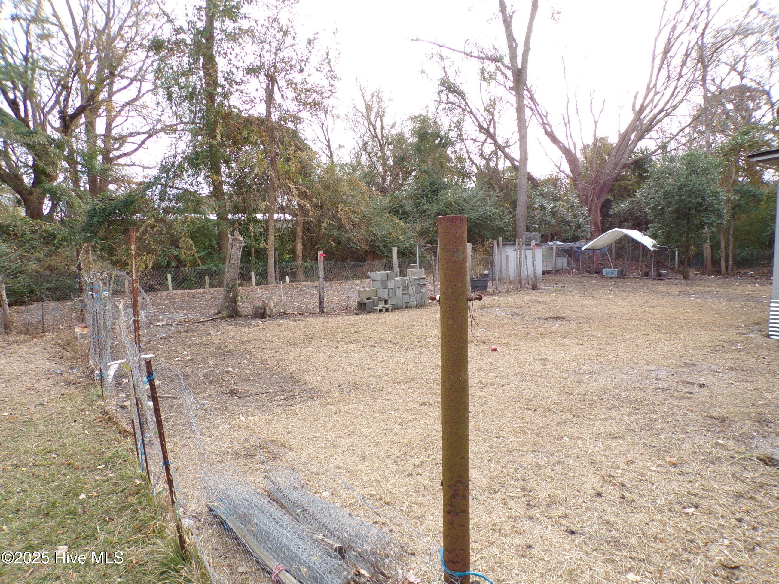 100546190 | Photo 18