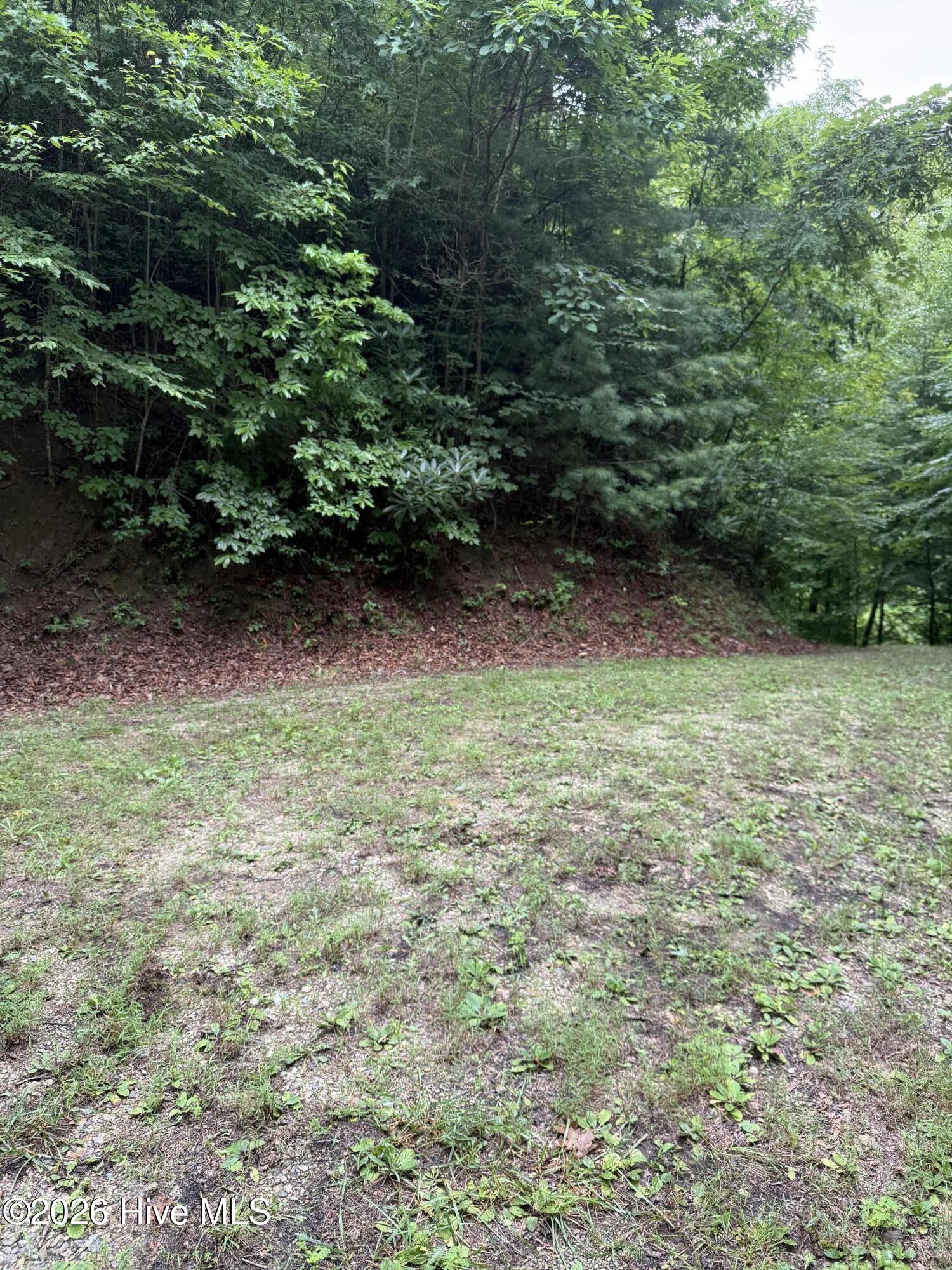 Lot 4 4 Mountain Vista Lane