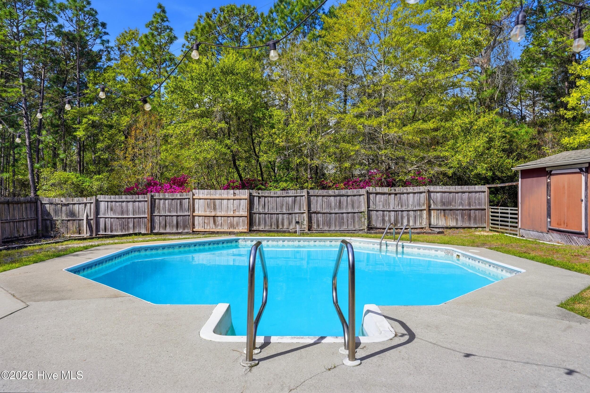 100565910 | Photo 41